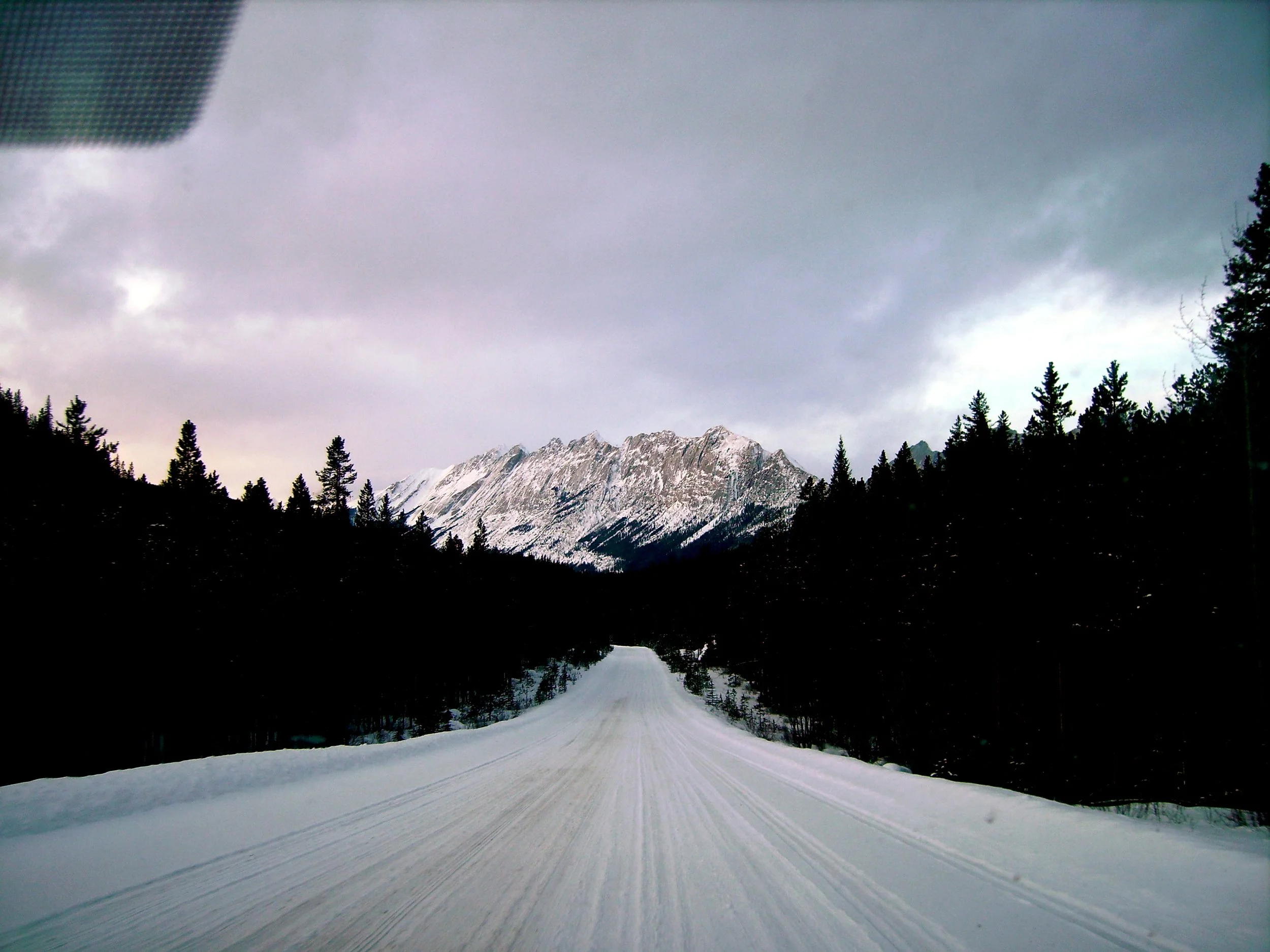 A snow covered highway lined with pine trees on either side and a large snowy mountain in the distance