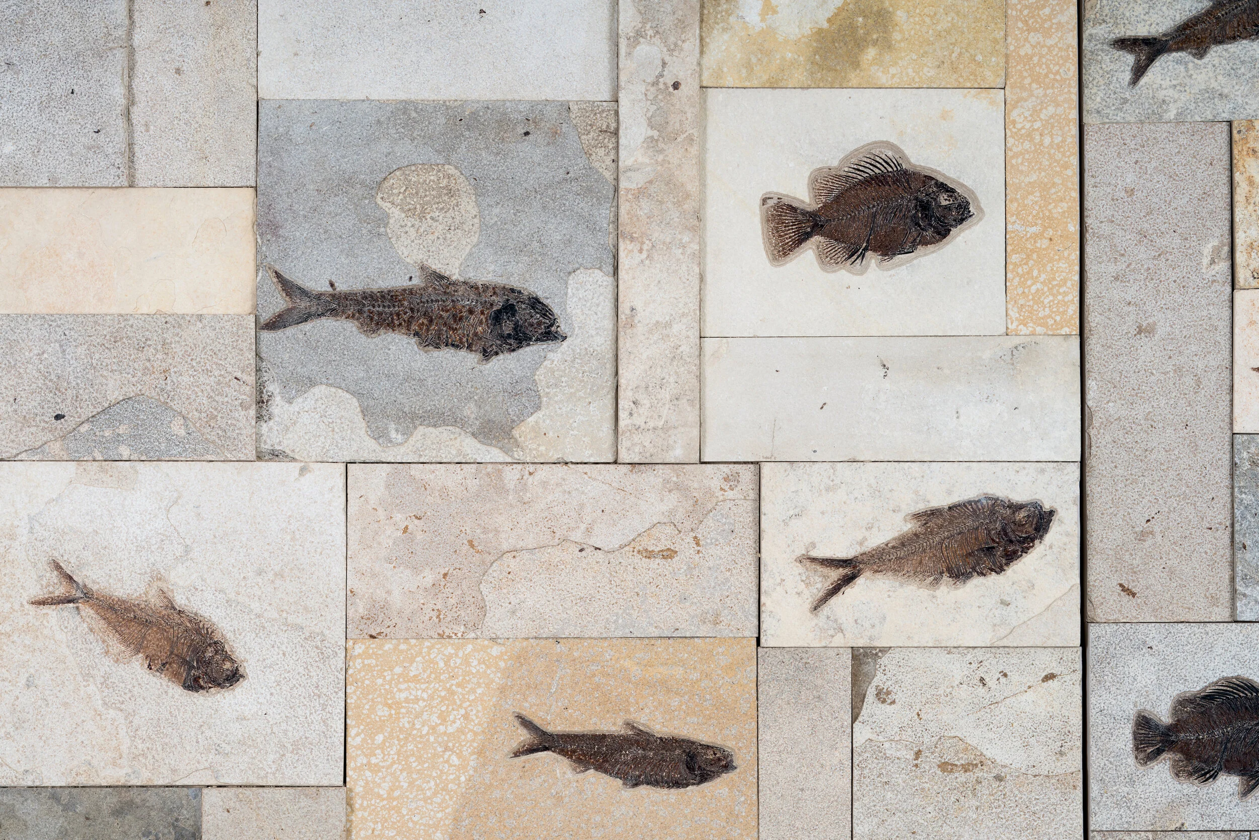 setinstone-2.jpg