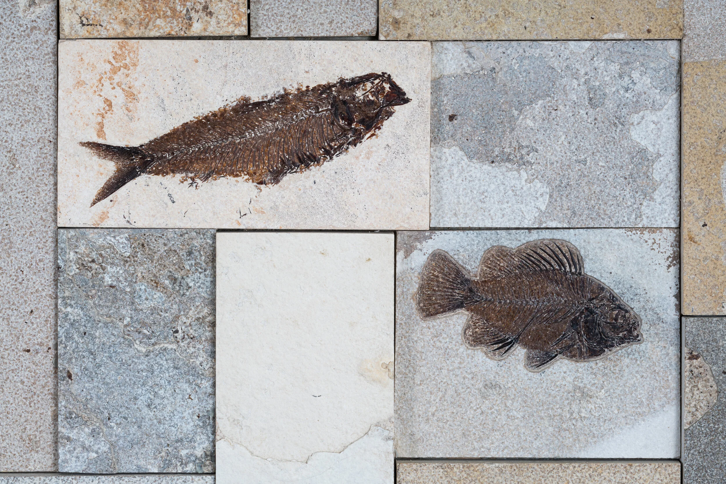 setinstone-4.jpg