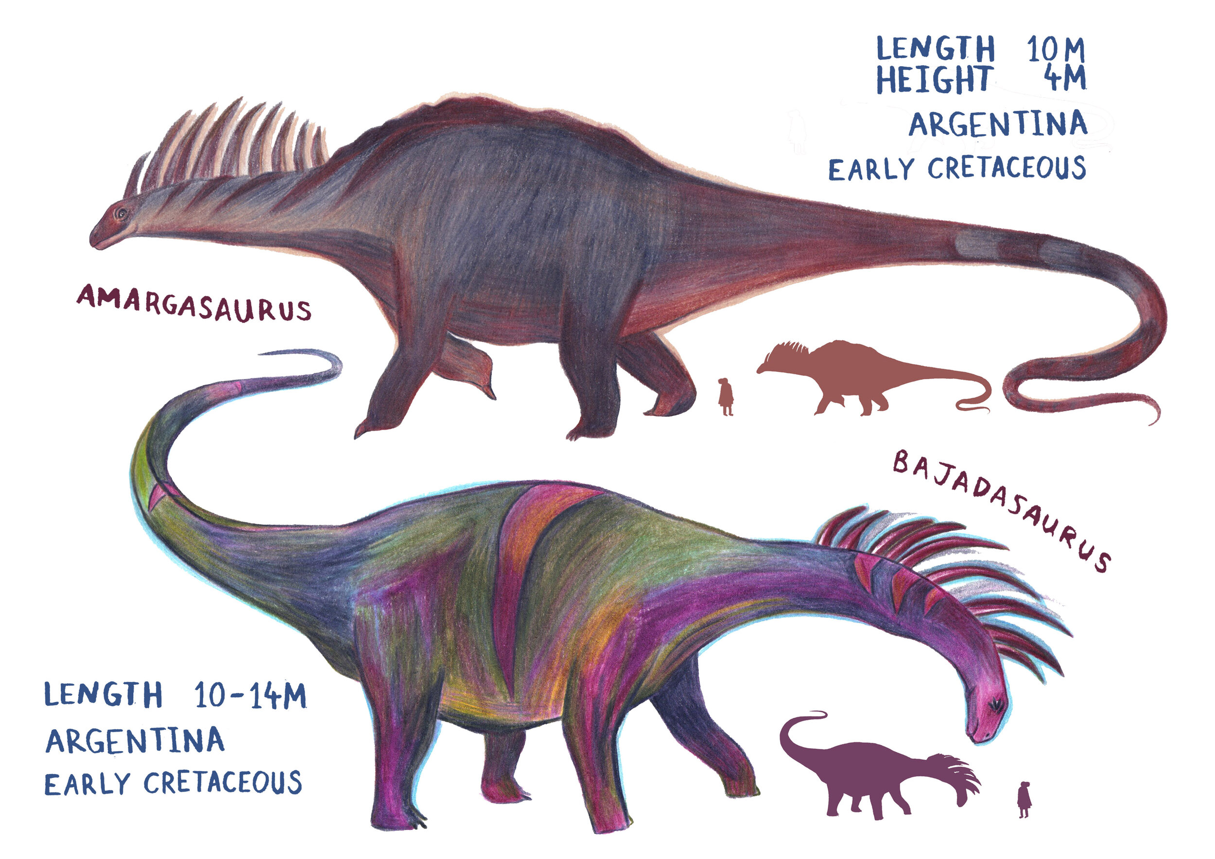 Spikey Dicraeosaurs