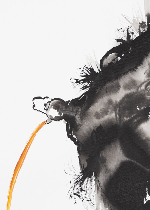 05 detail 2.jpg