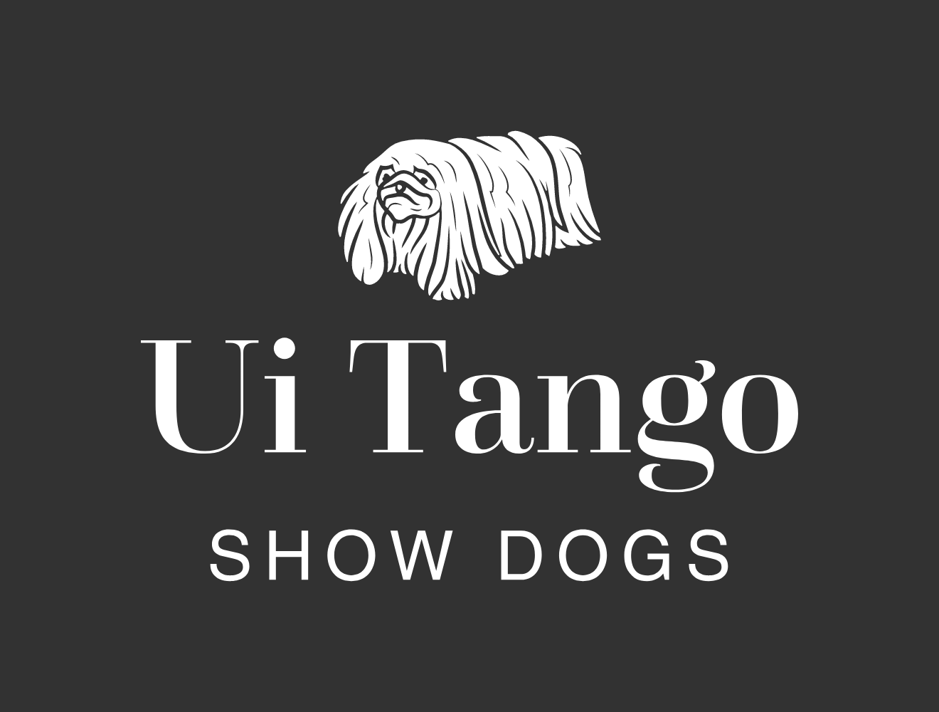Ui Tango Show Dogs