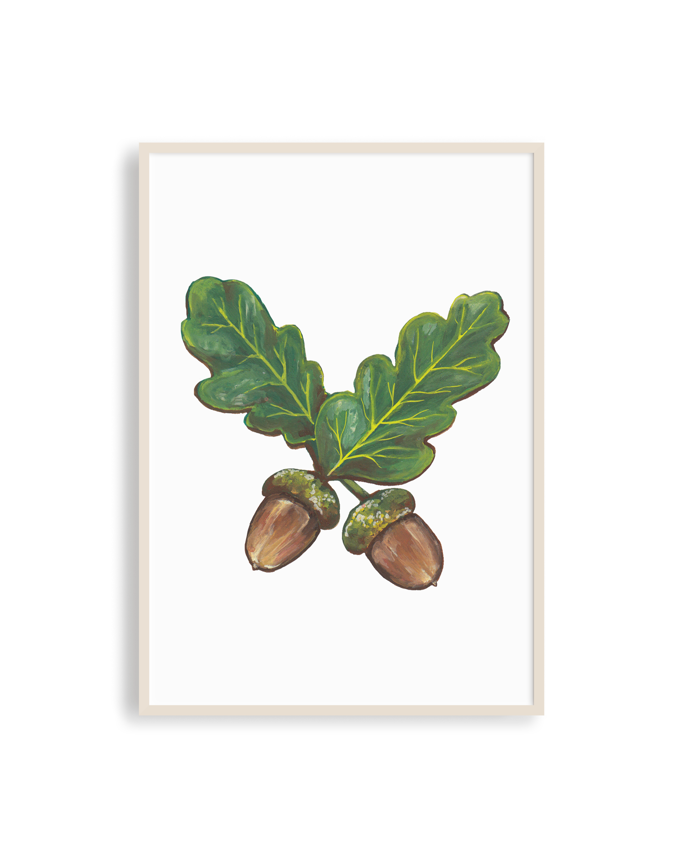 Acorn+Study+Frame.png