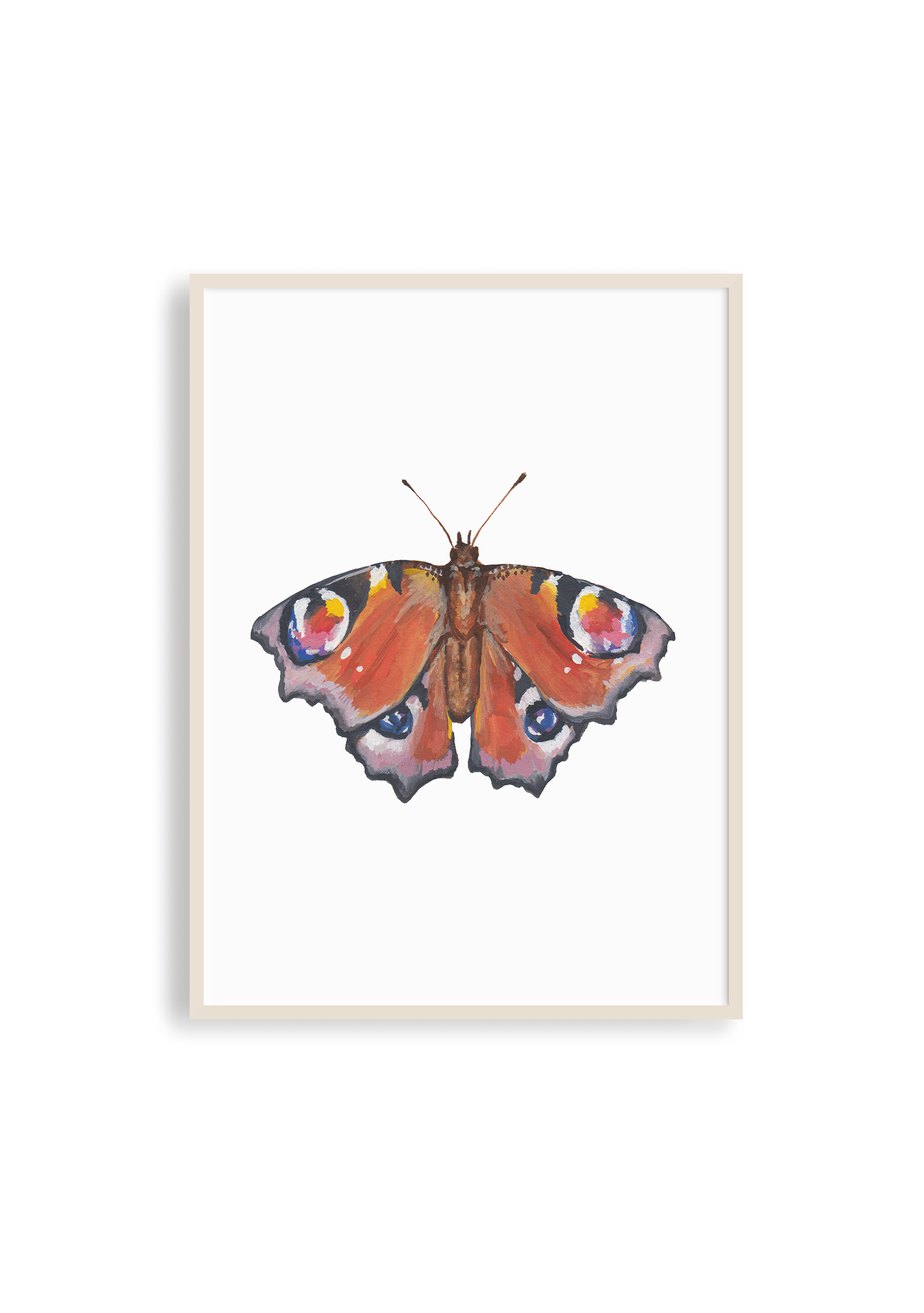 Peacock Butterfly Study Frame.png