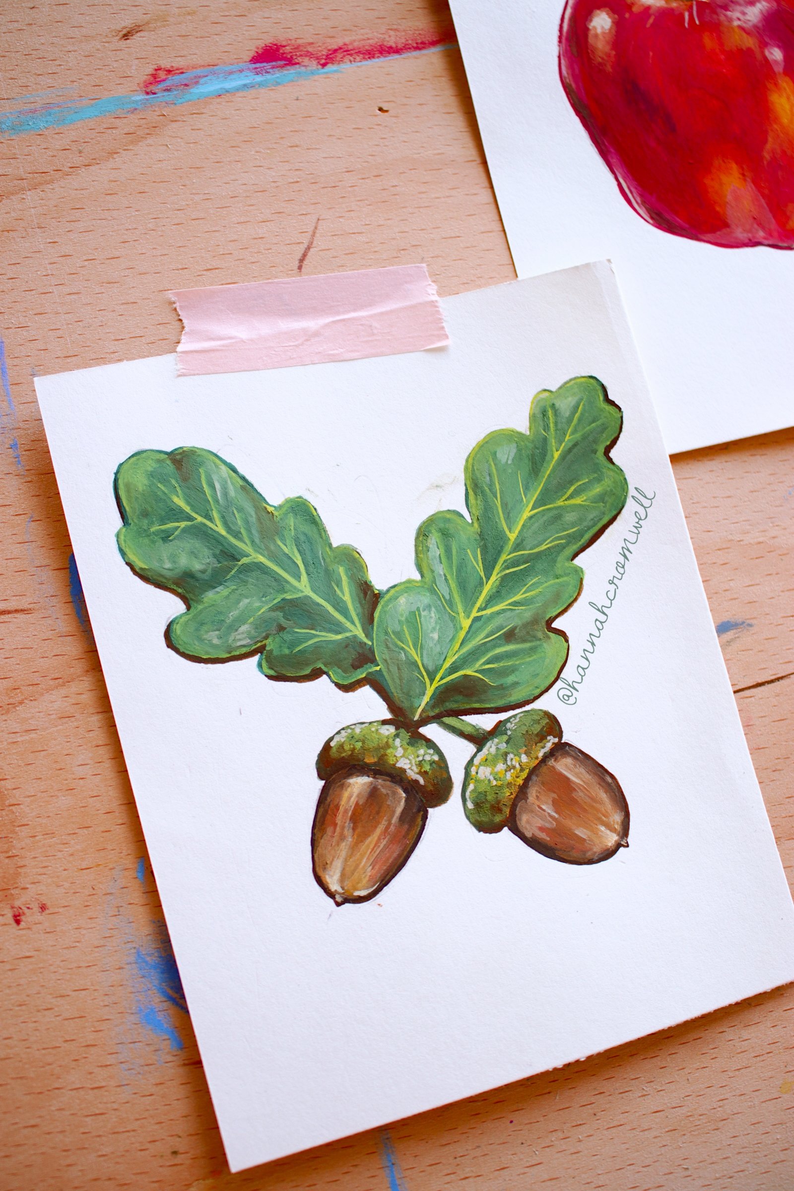 Acorns oct 25 hannahcromwell.jpg