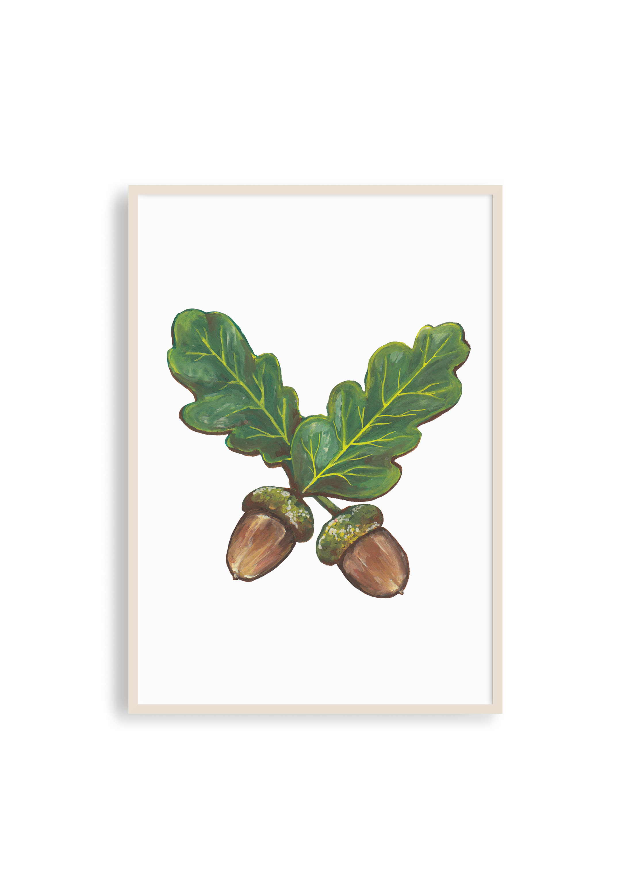 Acorn Study Print
