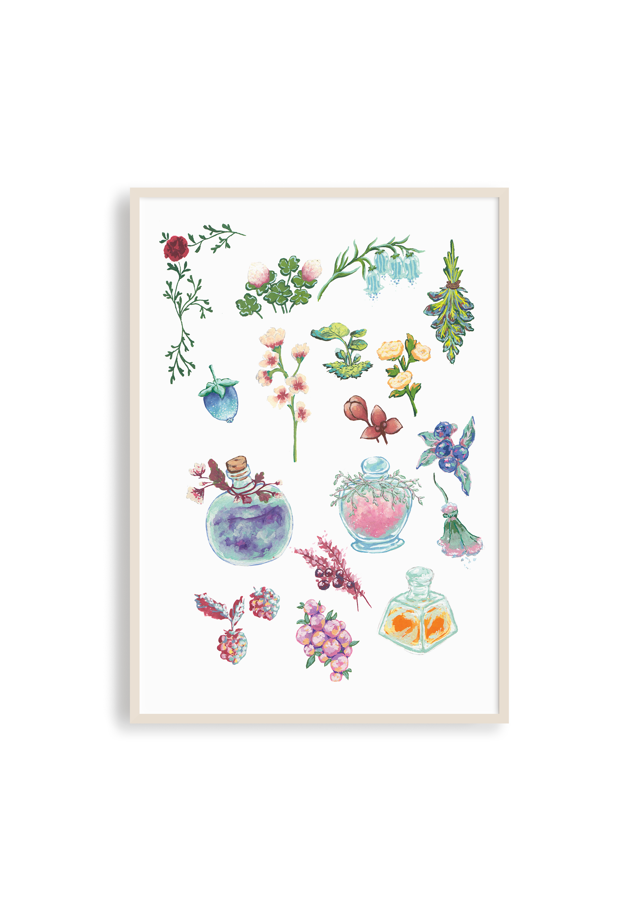 Apothecary Supplies Print