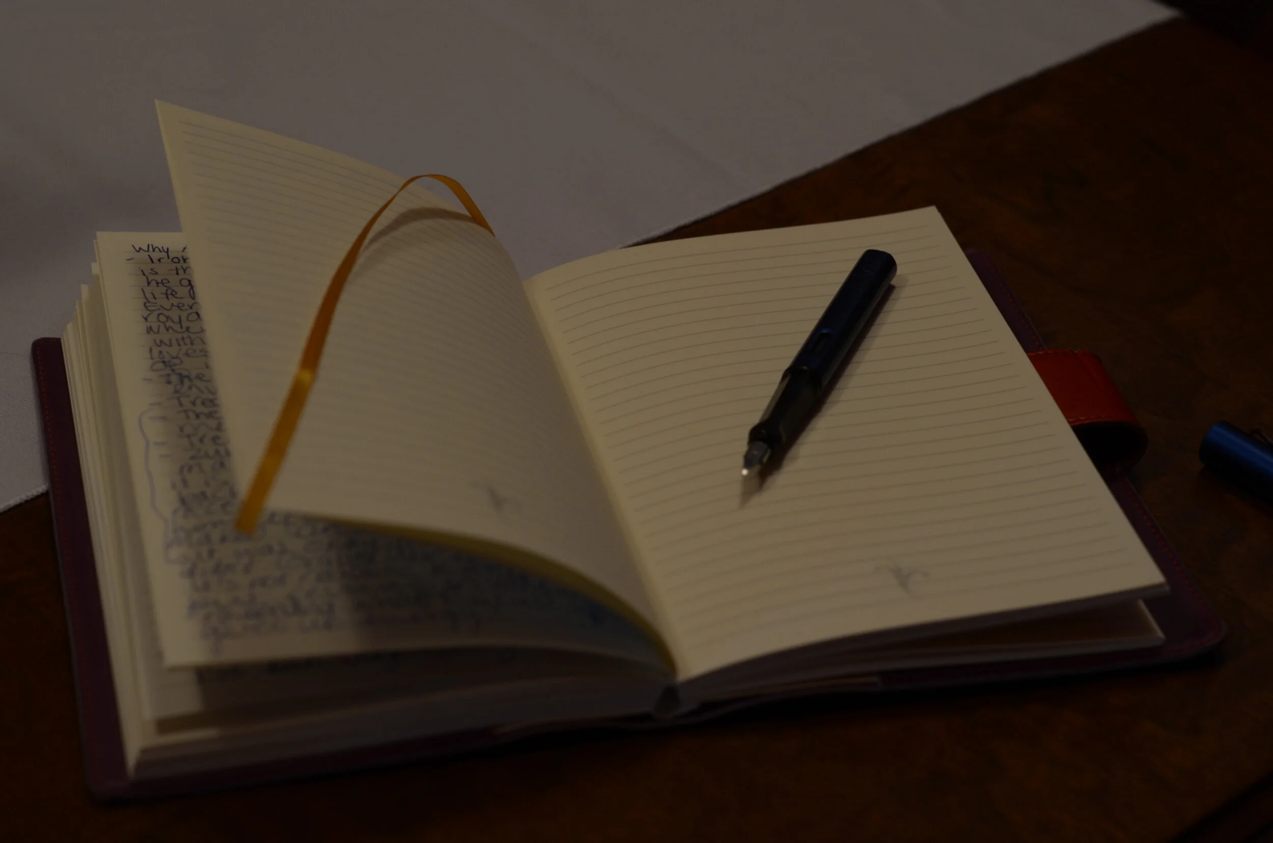 I Wrote a Novel (Literally)