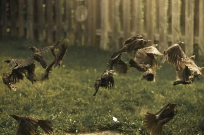 What do I do with my life?