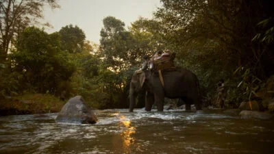 Hot Docs review: Last of the Elephant Men