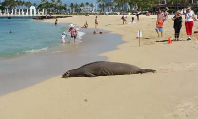 Beyond Borders: Global Gathering Of Conservationists Inspires