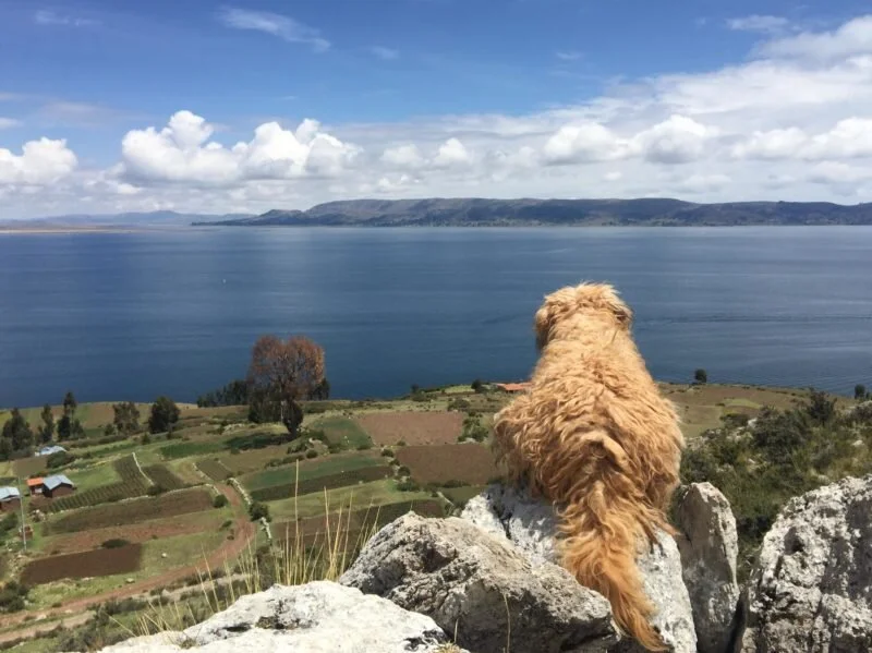 Should I feel guilty for travelling?