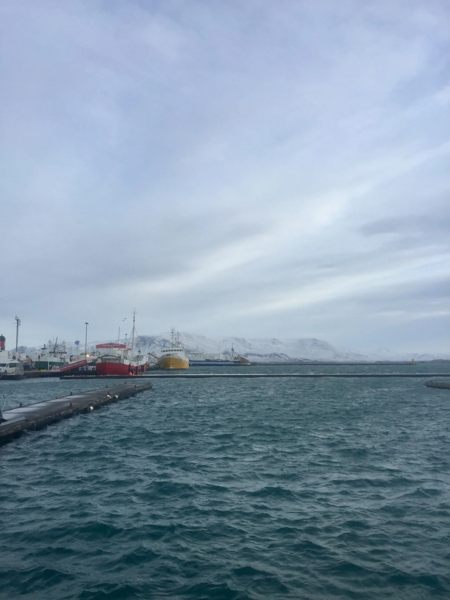 Welcome to Reykjavik