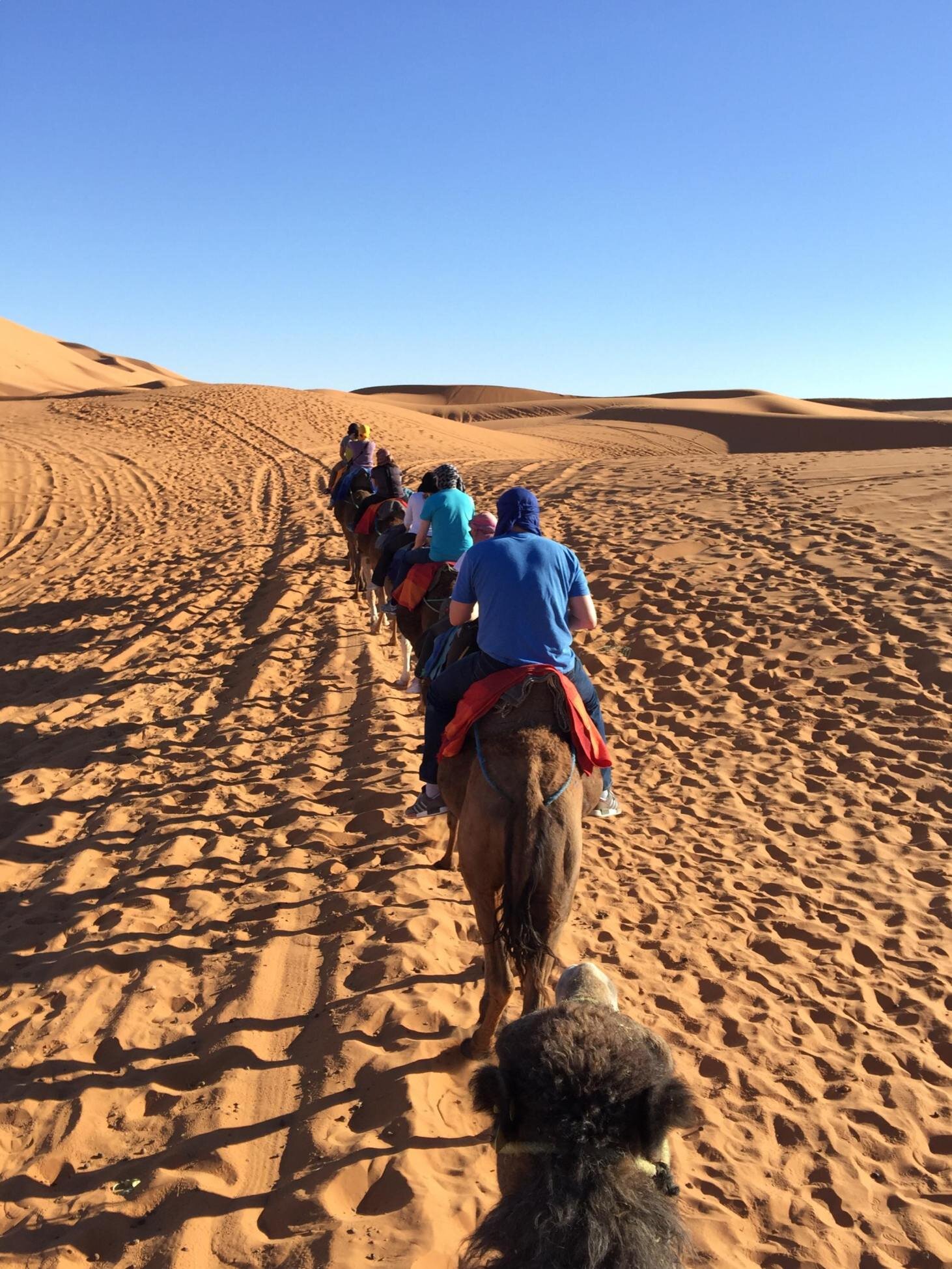 Into the Sahara
