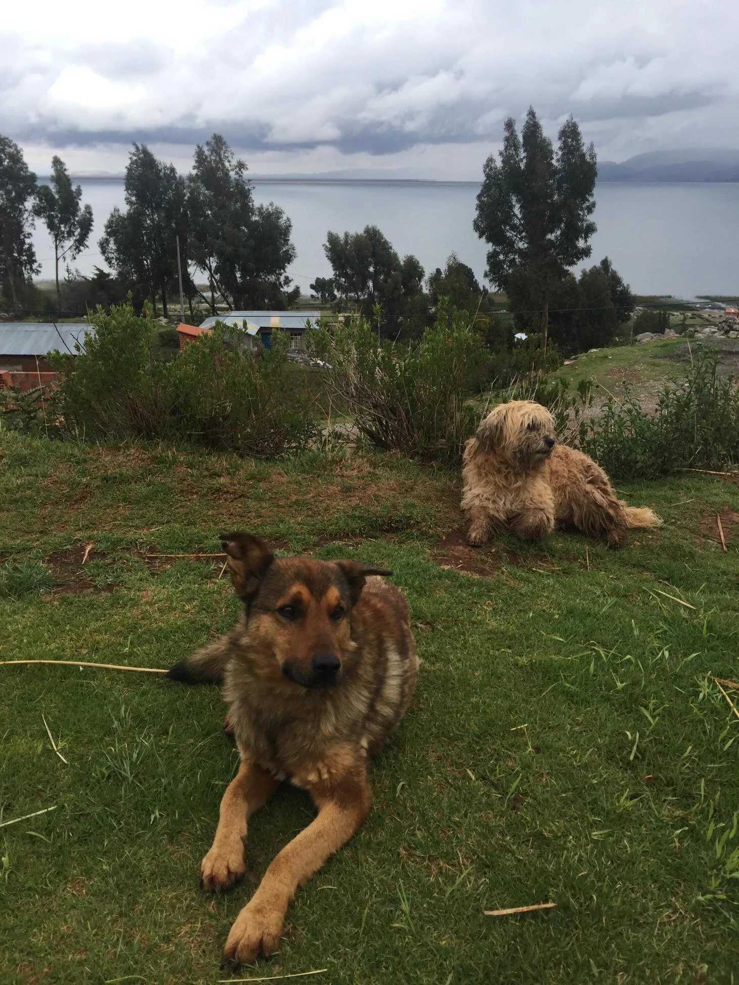 On Lake Titicaca