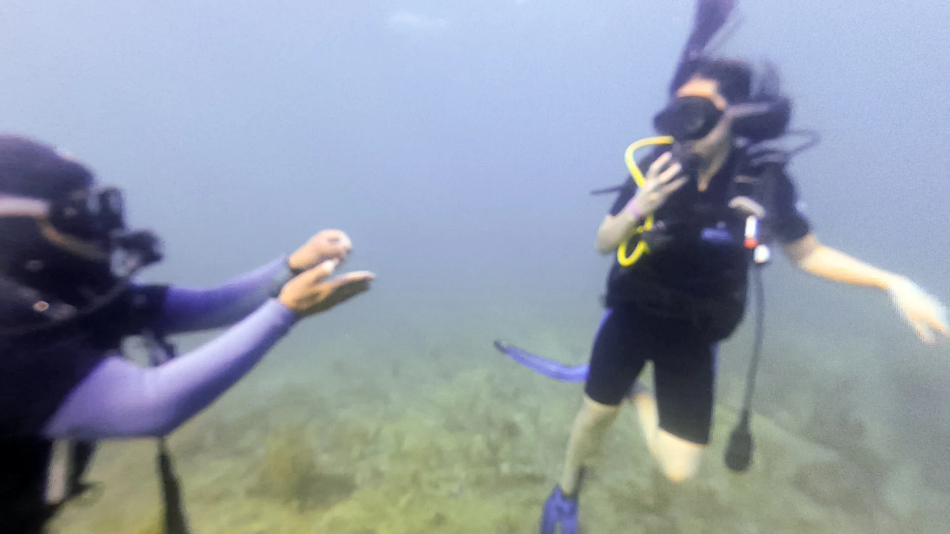 linh-diving-4.jpg