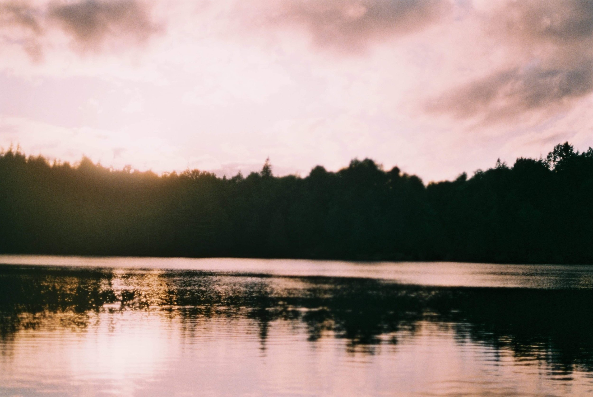 A Love Letter to Love