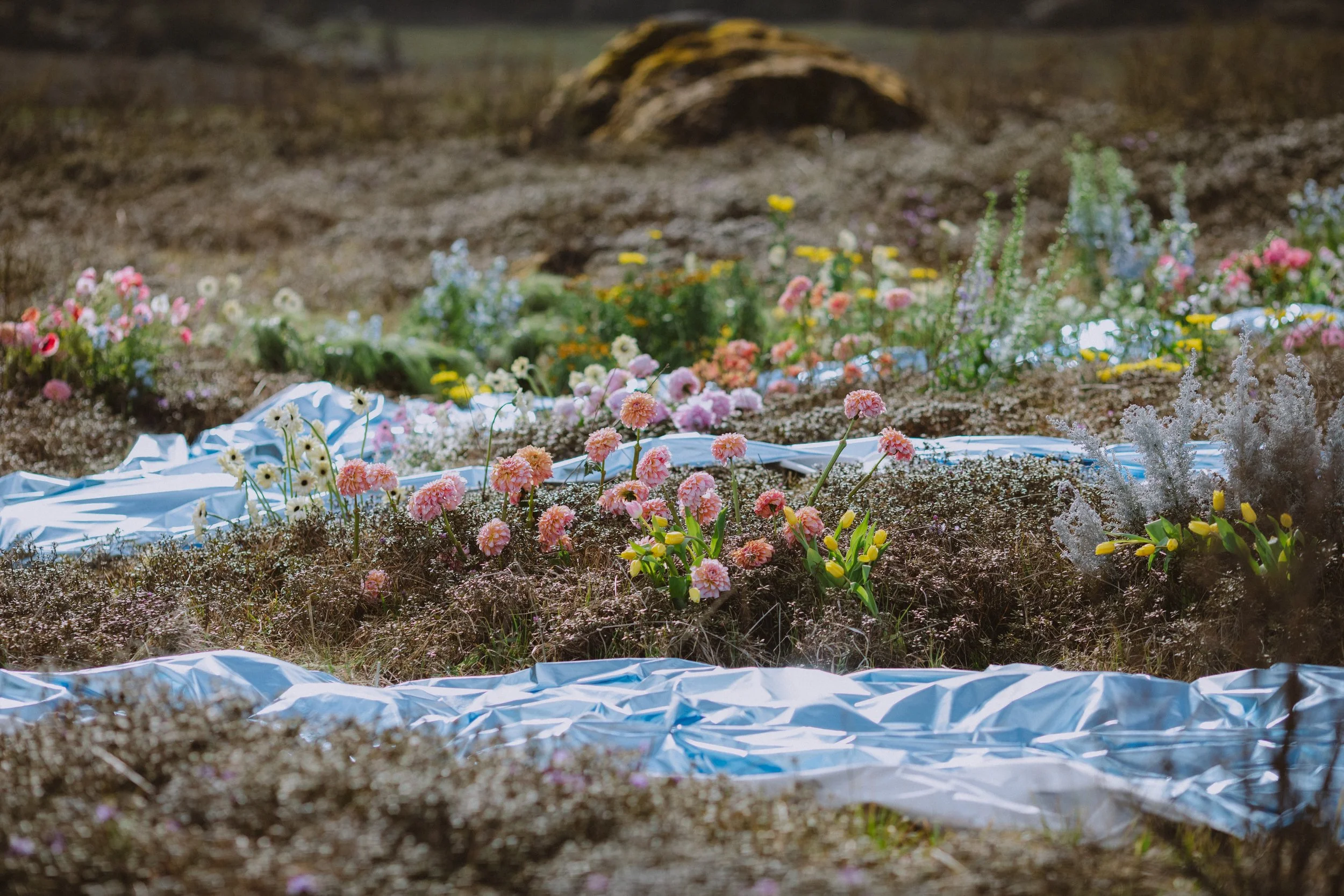 Flower arrangements and blankets in a gravesite or memorial setting with a rock and blurred flowers in the background.