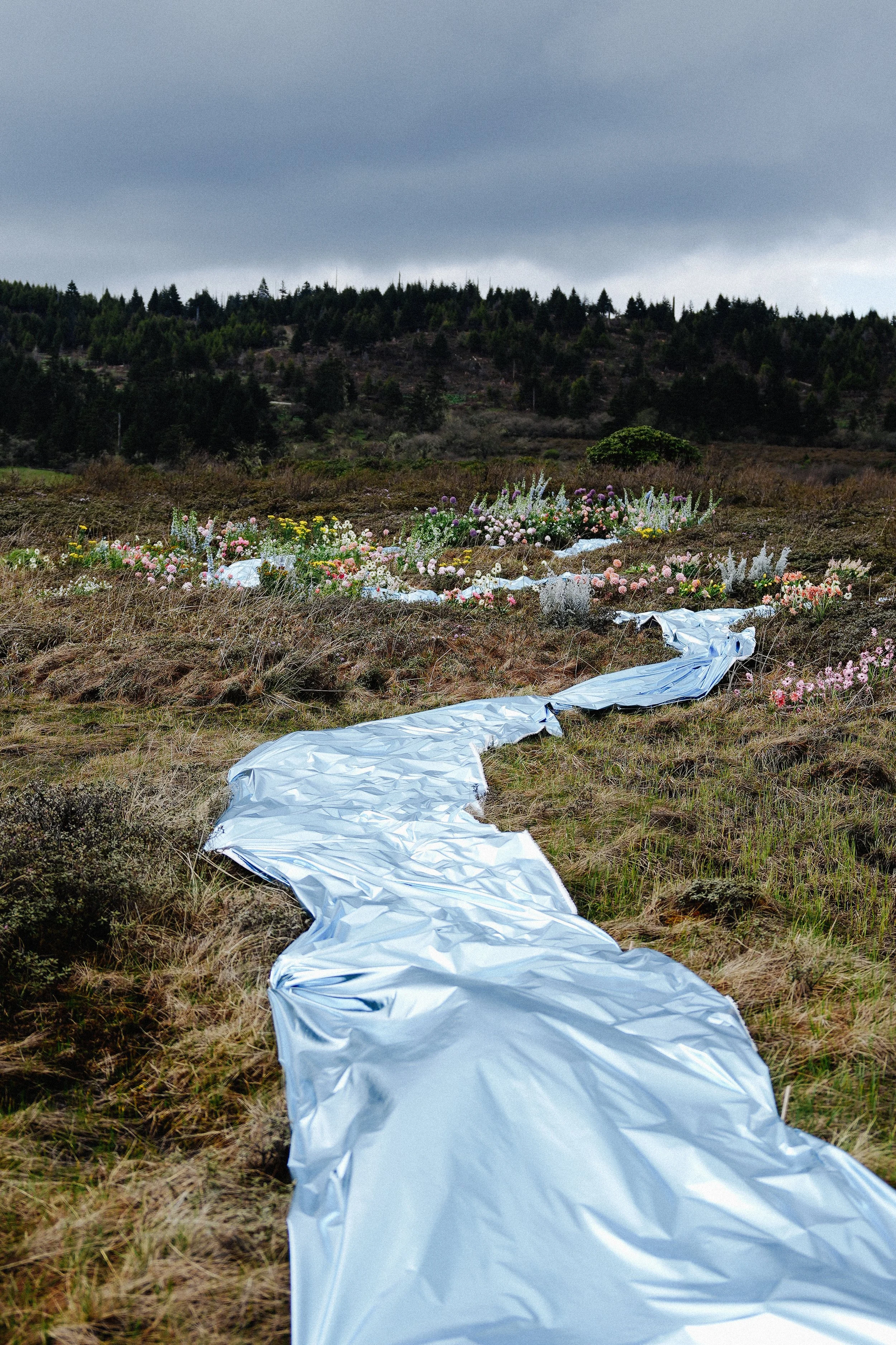 A long, crumpled white fabric trail on a field with wildflowers, leading towards a distant mountain with trees and under a cloudy sky.