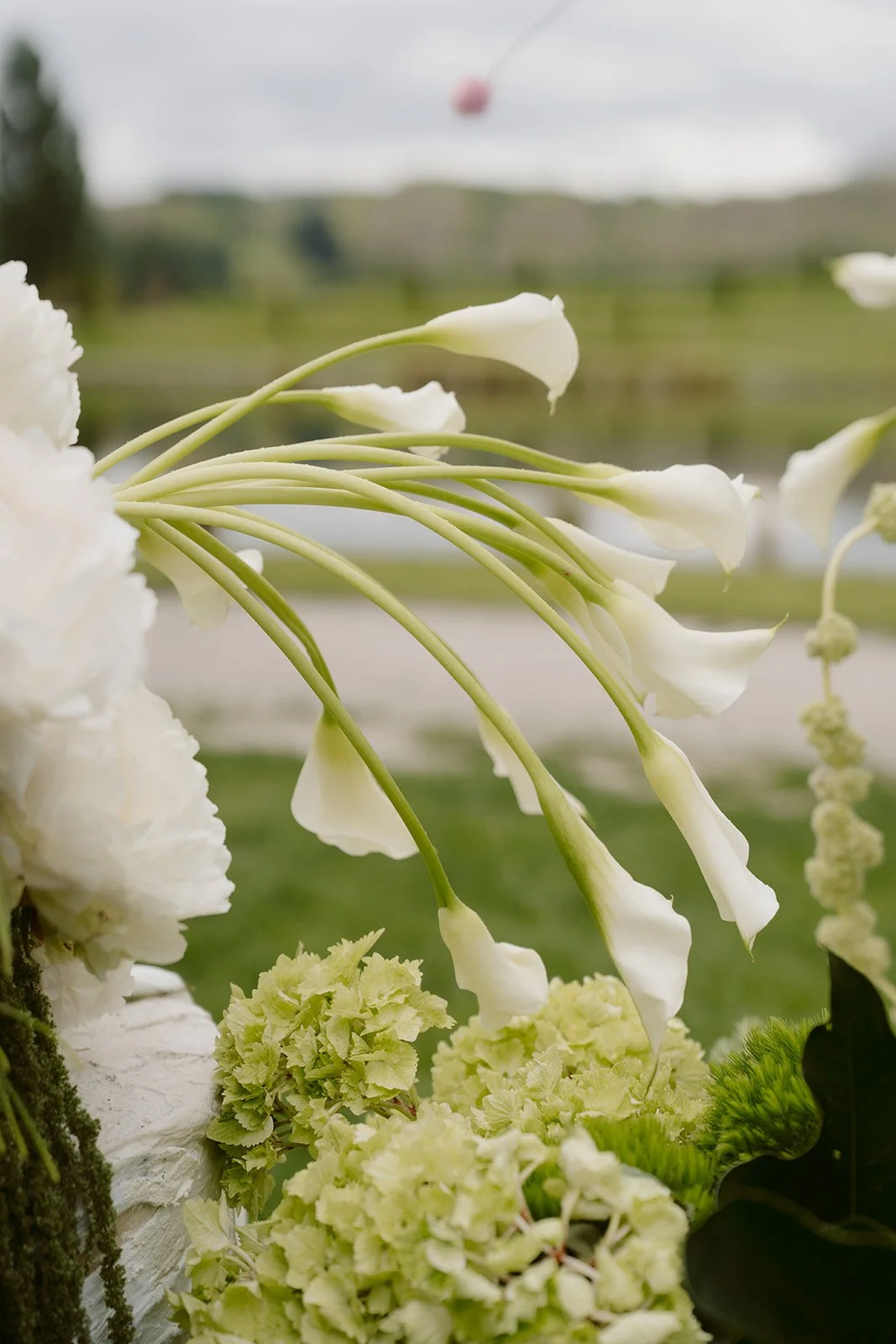 Kate Roberge Photography — Caera & James-221.jpg