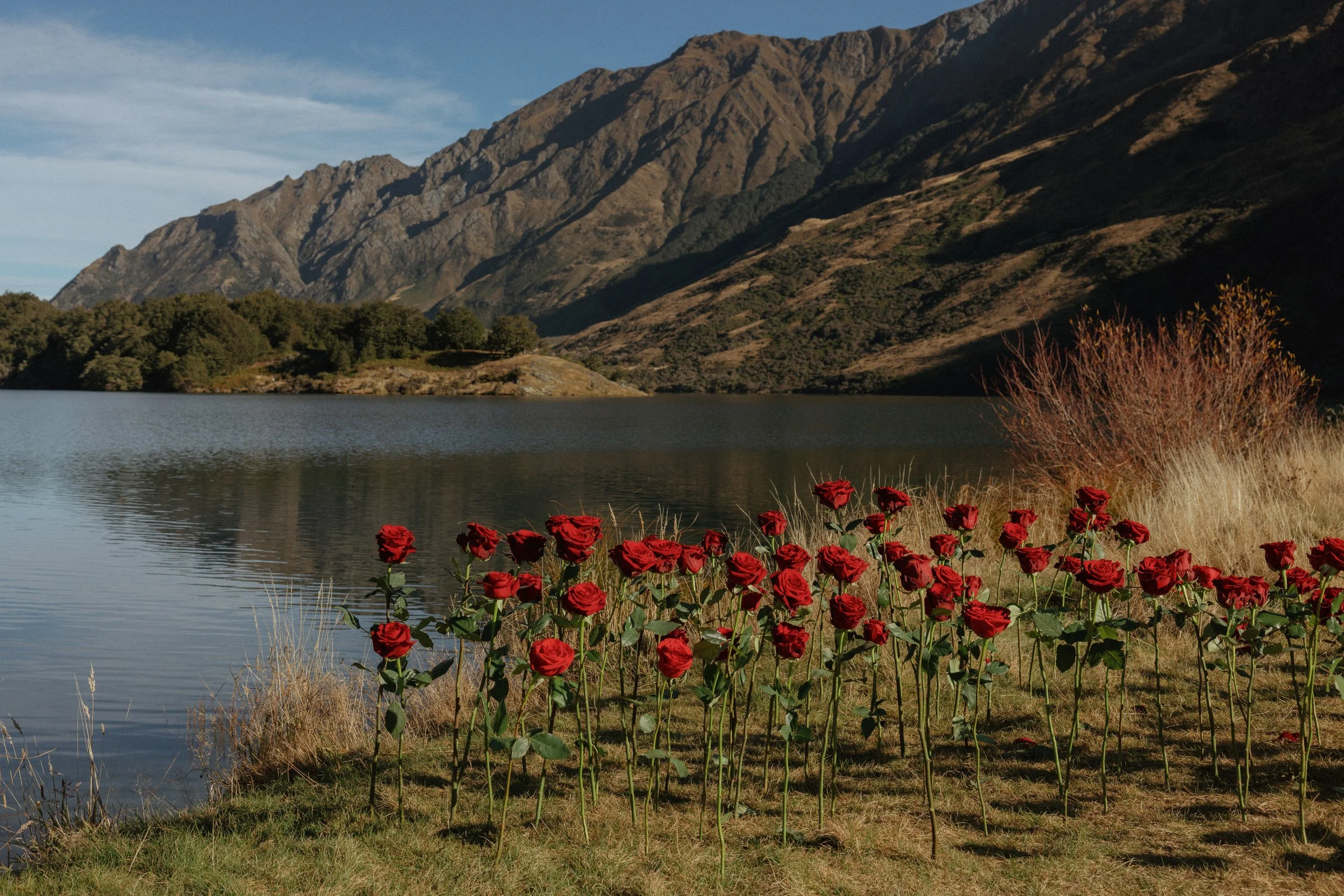 A red rose wedding ceremony held at Moke Lake Queenstown