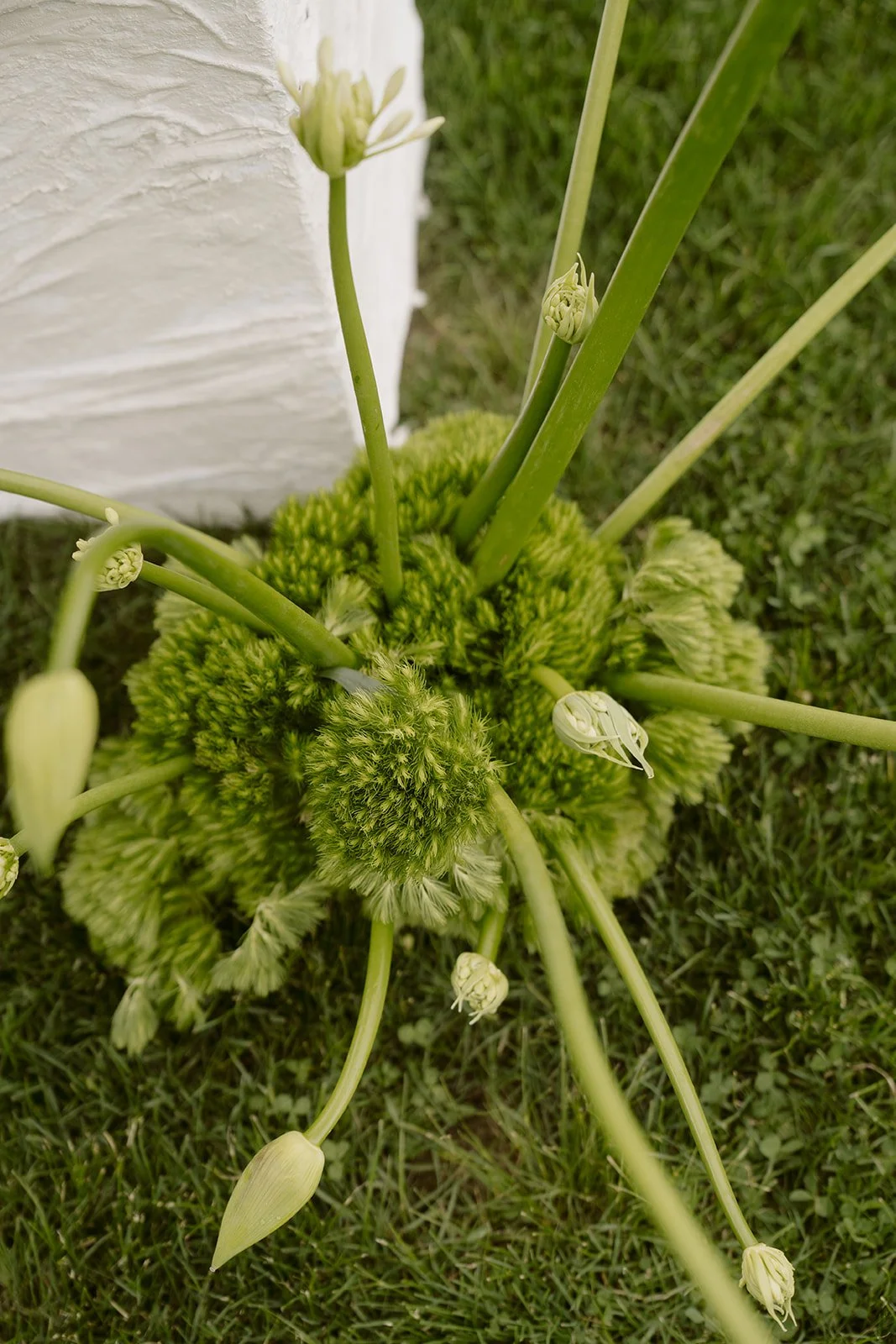 Modern sculptural wedding ceremony styling at Ayrburn The Pond Queenstown