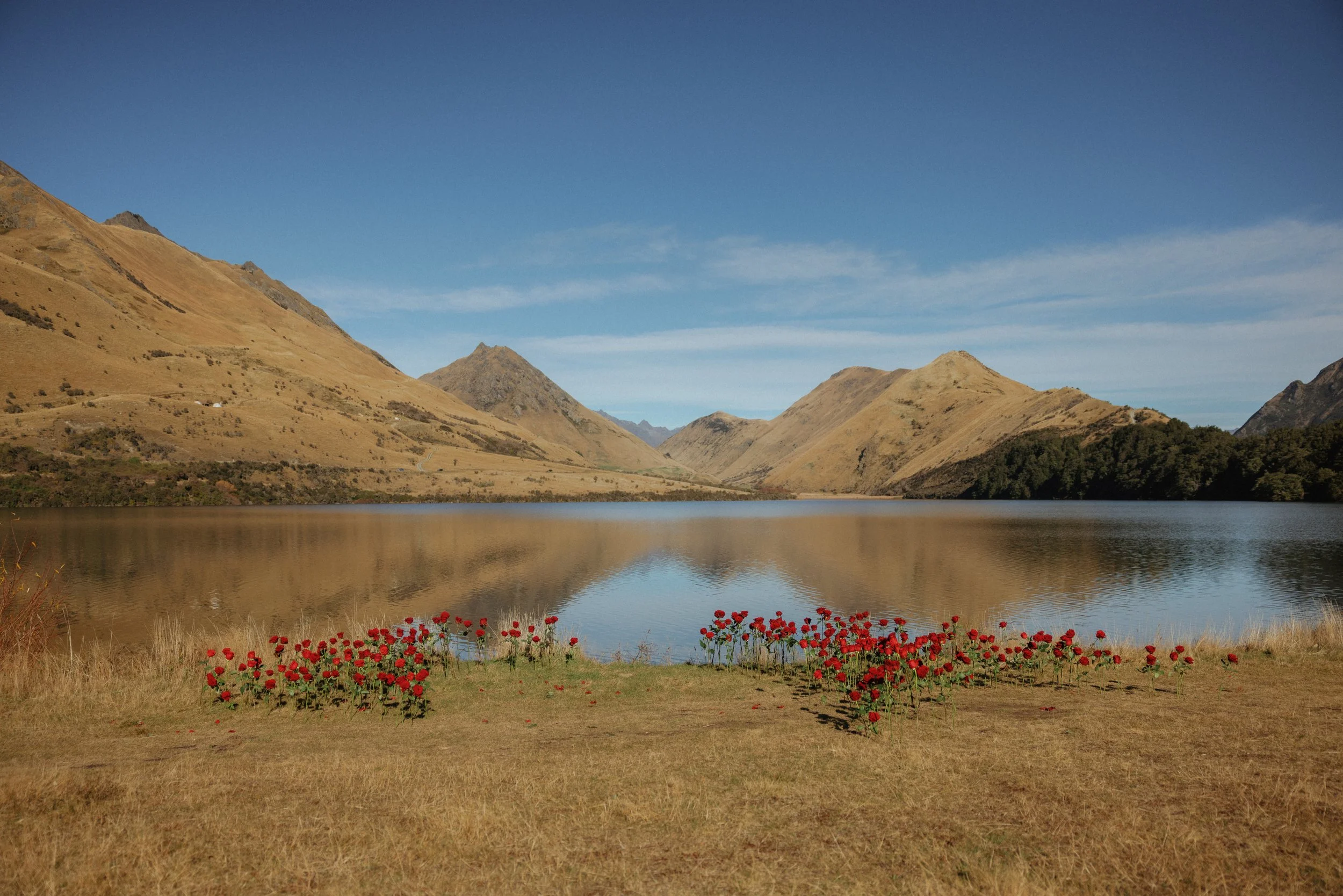 Moke Lake holds a prefect backdrop for a small wedding ceremony. 