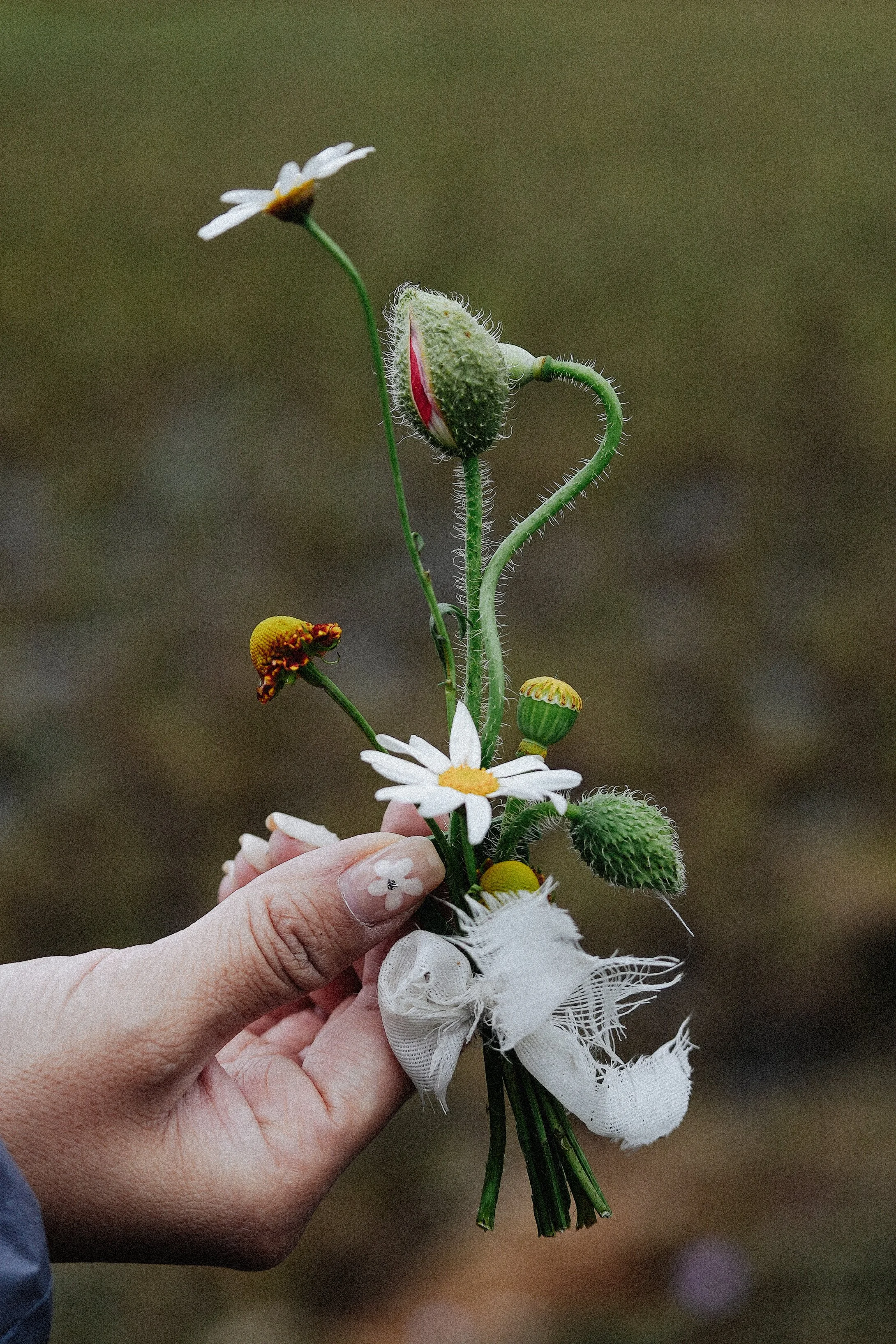 A hand holding a small bouquet of wildflowers, including daisies, with a beige ribbon tied around the stems.