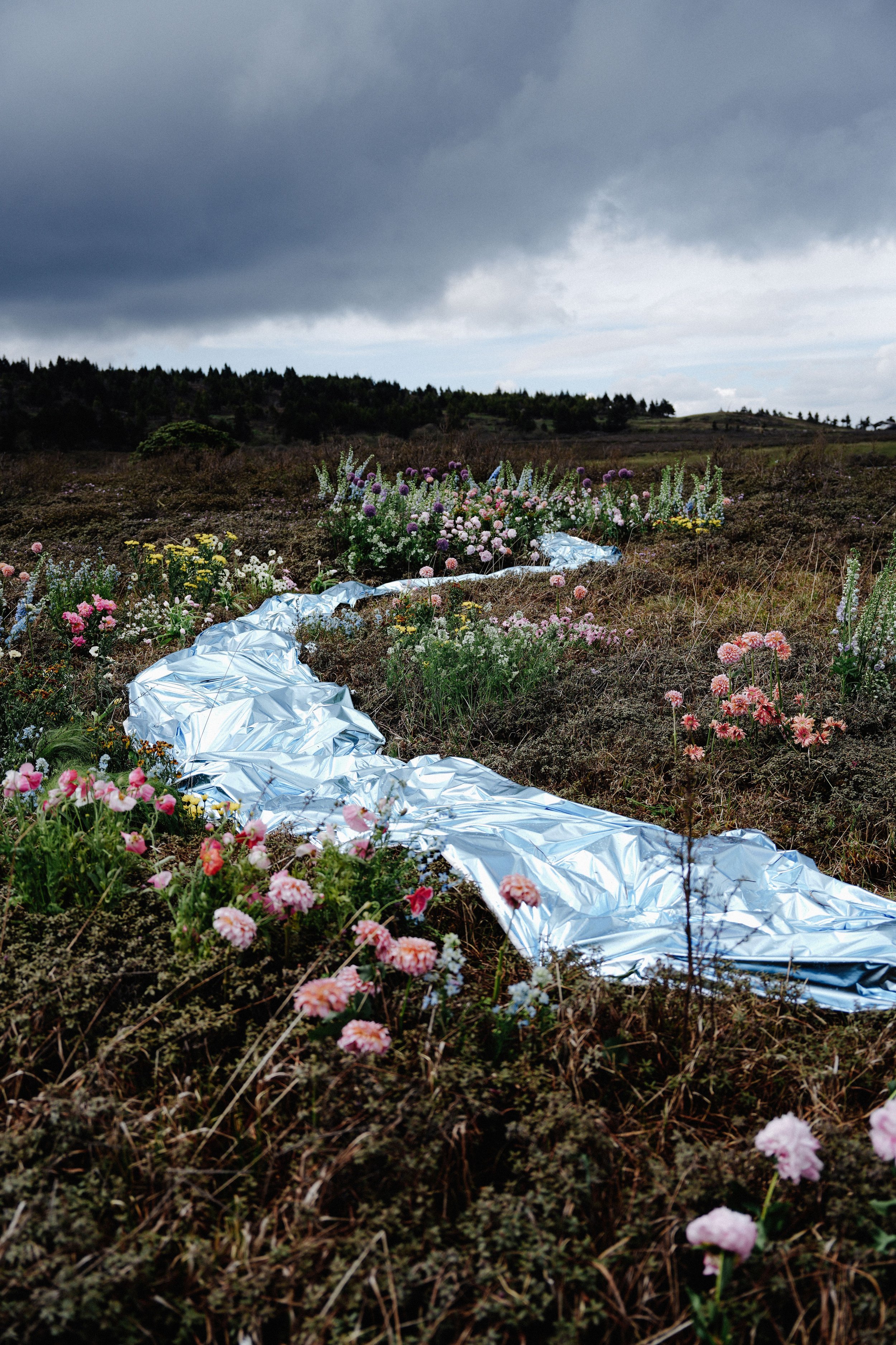 A landscape of a field with wildflowers and a silver emergency blanket laid out on the ground, under a cloudy sky.