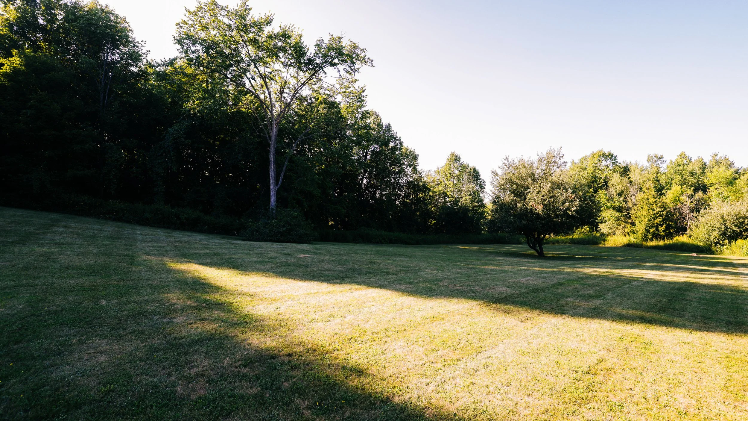 5- 5241 10th Line - Erin  - Modern Movement Creative Inc - PHOTOG- Mitch Hubble - August 05, 2026.jpg