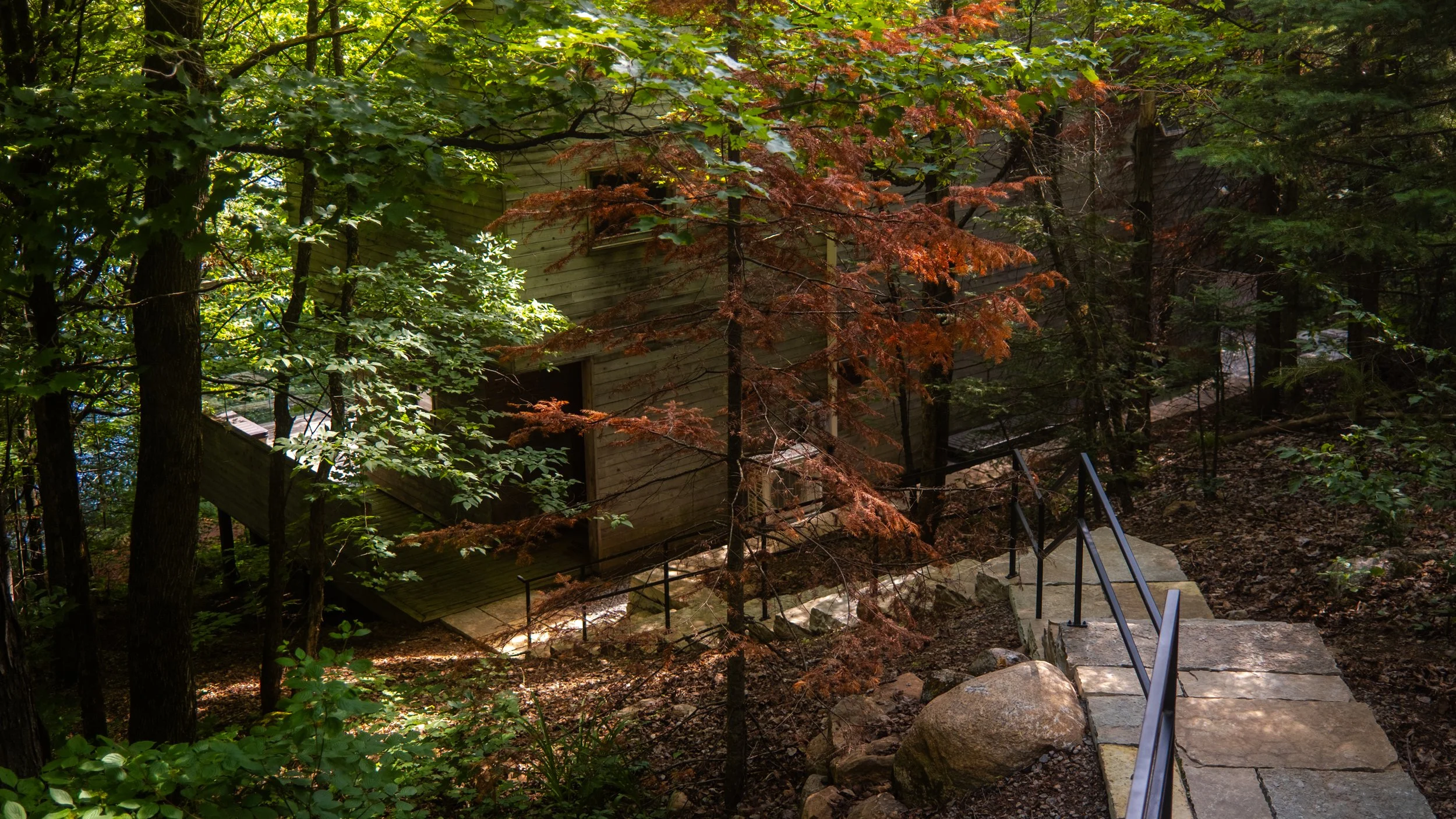 38- 158 Ponacka - Muskoka - Modern Movement Creative Inc - PHOTOG- Mitch Hubble - July 20, 2026.jpg