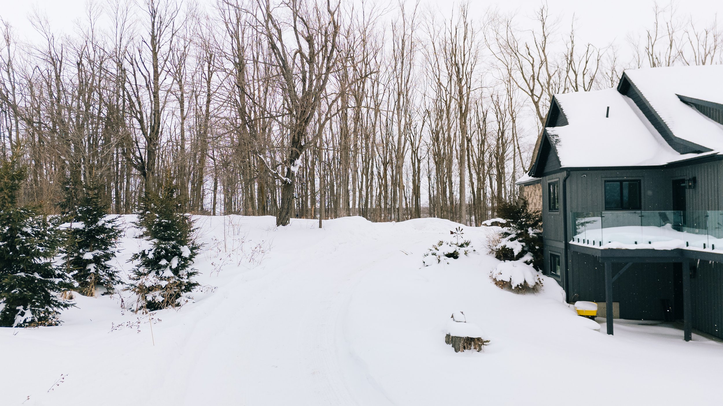 61- 678500 Center Road - Mulmur - Carolyn Scime - Modern Movement Creative - PHOTO- Mitch Hubble -February 12, 2026.jpg