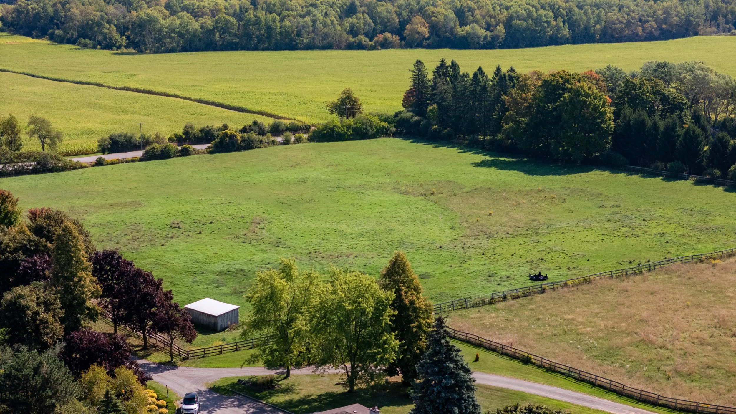 97- 8360 Concession Road - Uxbridge - Modern Movement Creative - PHOTO- Mitch Hubble -September 15, 2025.jpg