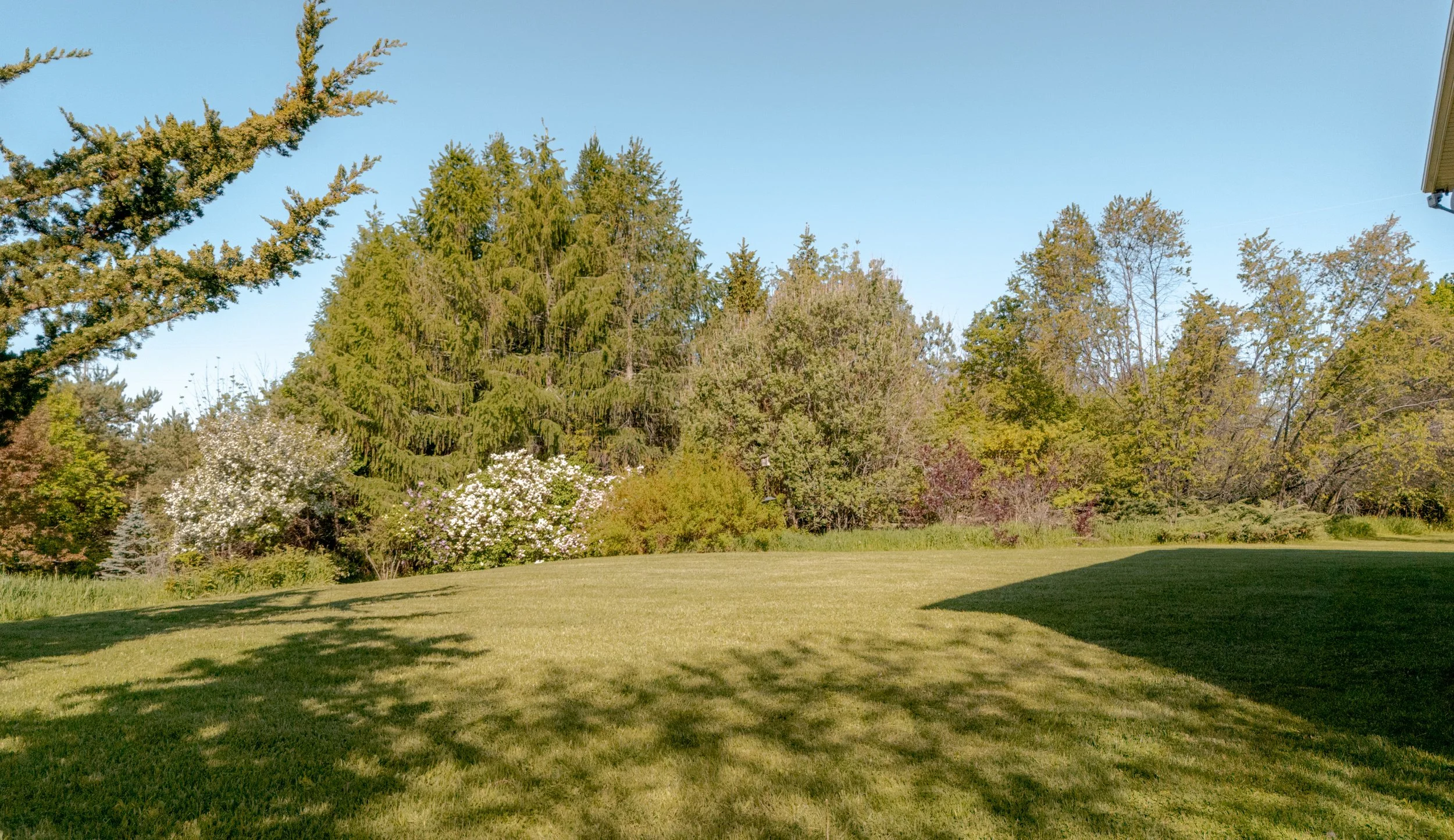 46- 955409 7TH CONCESSION - Modern Movement Creative Inc - PHOTOG- Mitch Hubble - May 29, 2026.jpg