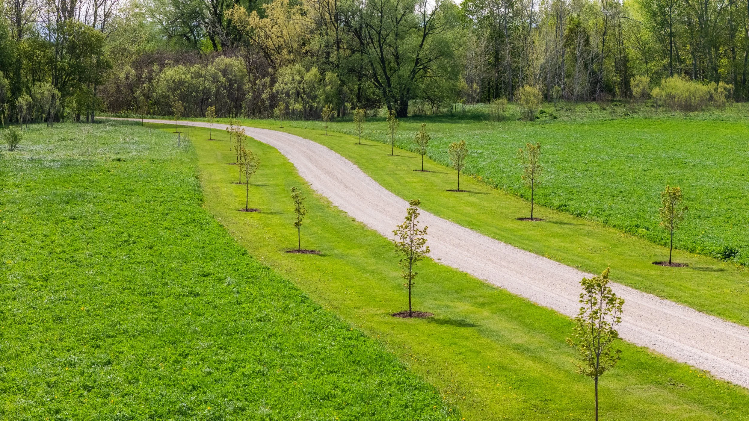 35-  7256 County Road 18 - Elora - Modern Movement Creative Inc - PHOTOG- Mitch Hubble - May 20, 2026.jpg
