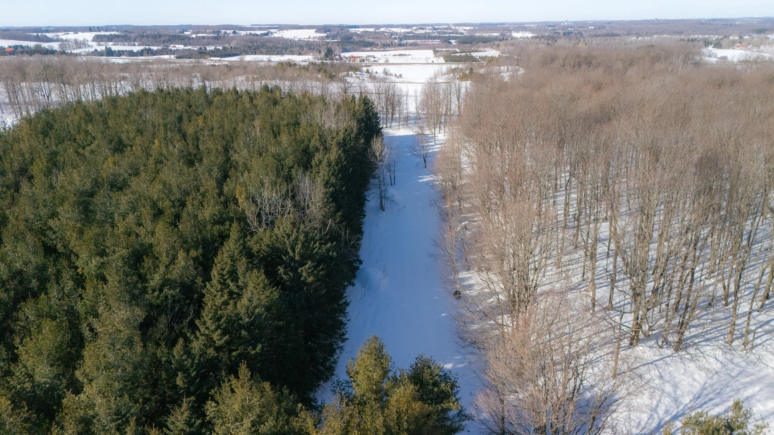 34- 675528 Hurontario ST - Mono - Modern Movement Creative Inc - PHOTOG- Mitch Hubble - March 10, 2025.jpg