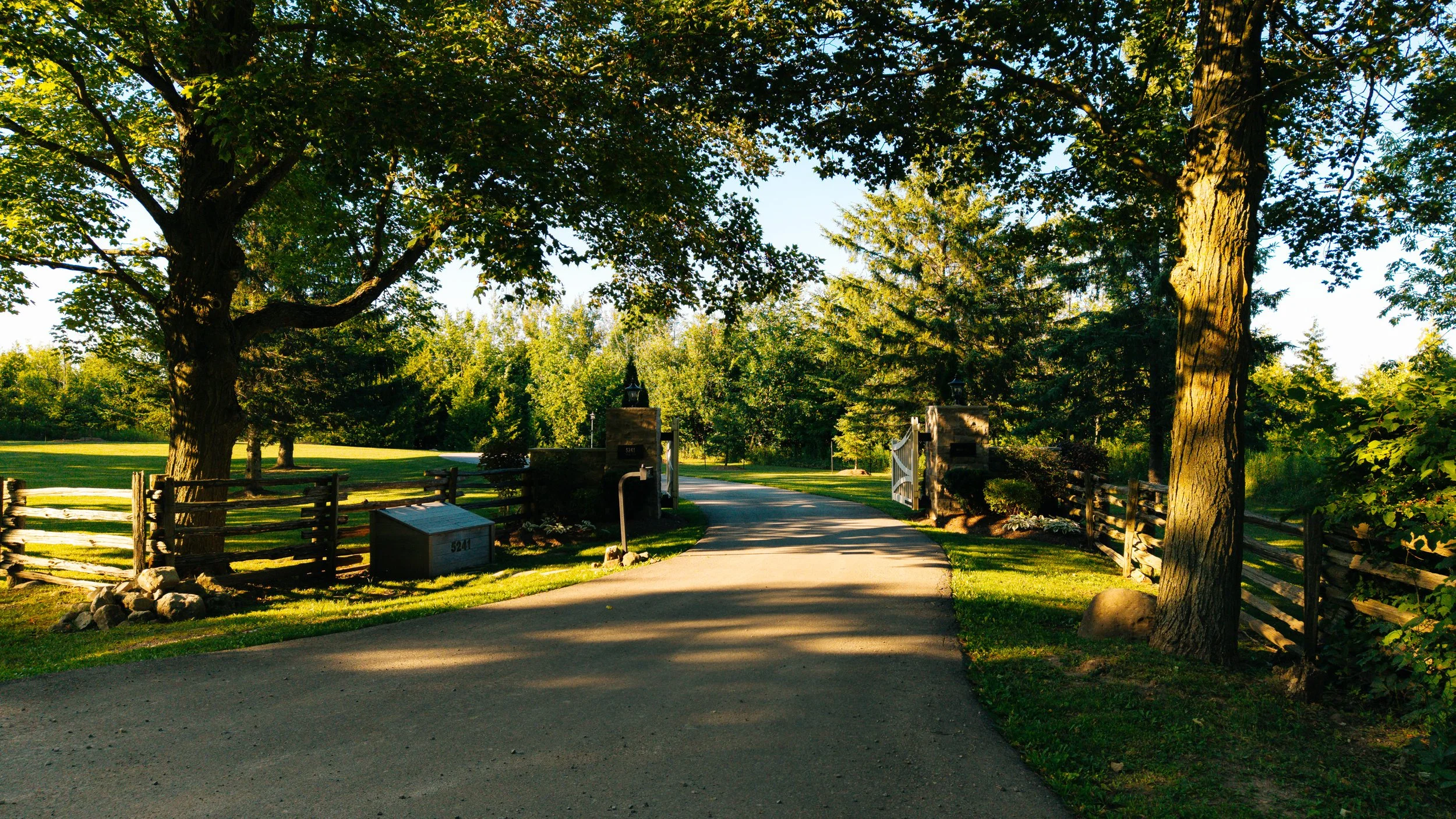 78- 5241 10th Line - Erin  - Modern Movement Creative Inc - PHOTOG- Mitch Hubble - August 06, 2026.jpg