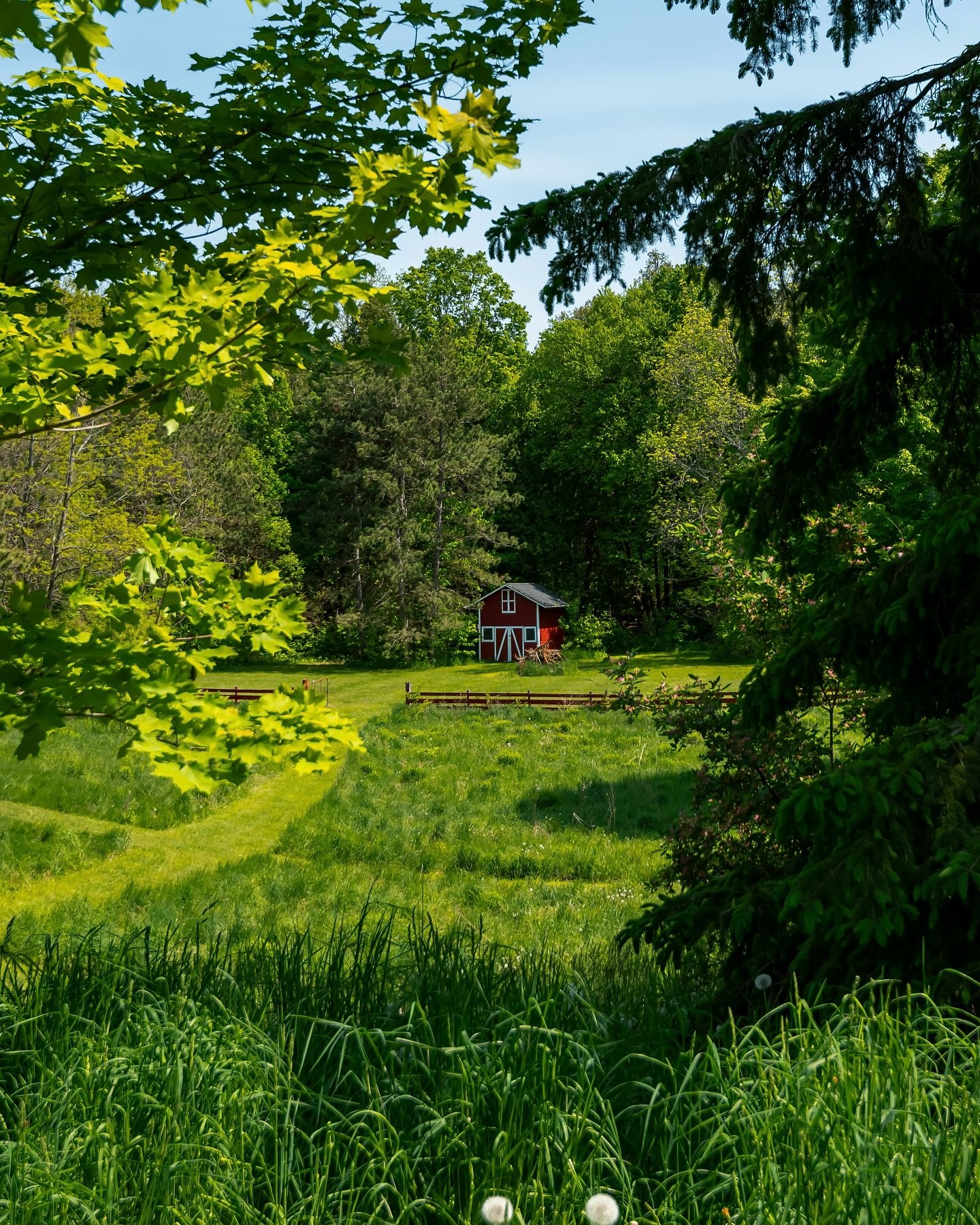 Hounds Haven | 248400 5 Sideroad, Mono, ON📍

Practically positioned just 15 minutes from Orangeville and a convenient hour&rsquo;s drive from Toronto, this property offers the ideal balance of accessibility and seclusion. 

A truly one-of-a-kind cou