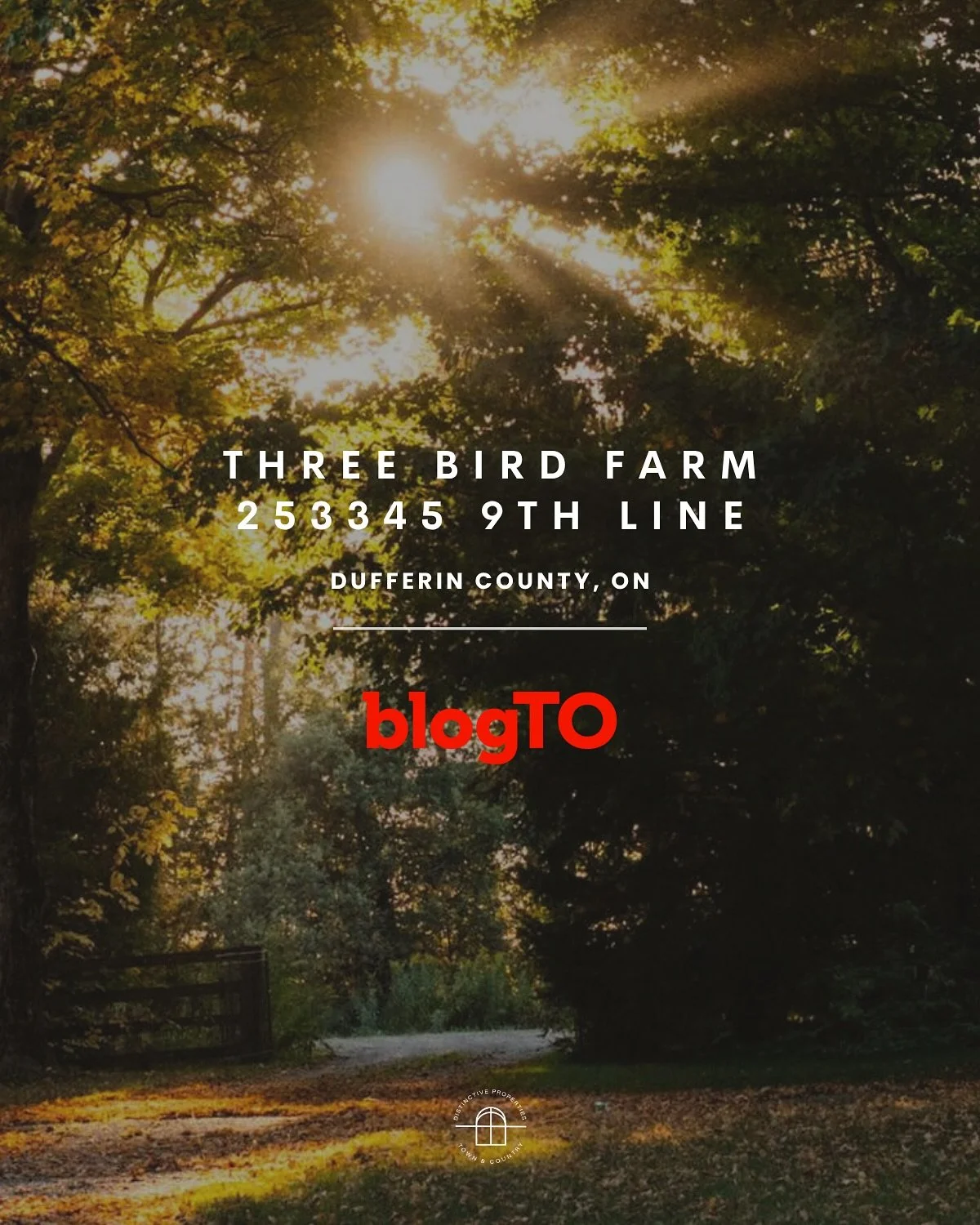 Three Bird Farm 🕊️🌲✨ 253345 9th Line, Dufferin County📍
‘Imagine crisp Ontario autumn air, the crunch of fallen leaves underfoot, and the golden glow of a maple-lined driveway welcoming you home to your quaint farmhouse-turned-estate. If tha