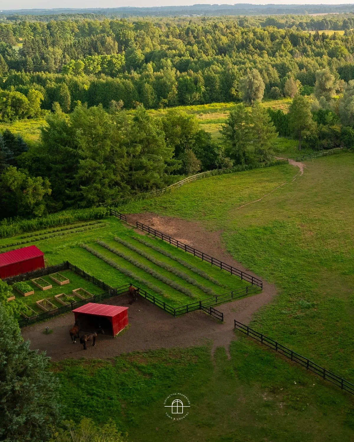 Avalon Lavender Farm | 347036 Mono Centre Road, Mono, ON📍

Welcome to Avalon Lavender Farm, set on 52 acres in the rolling rural landscape of Mono Township where your dream of country living meets a thriving business opportunity. Since 2021, this es