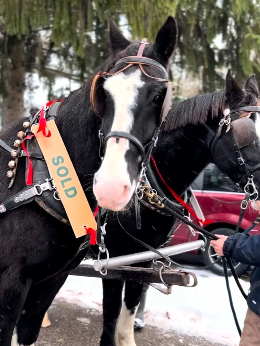 We are thrilled to be a part of Schomberg&rsquo;s &lsquo;A Main Street Christmas&rsquo; again this year. 🎄🎅🏻✨

Come experience the magic of Schomberg&rsquo;s historic Main Street with street performers, carolers, holiday treats, kids&rsquo; entert