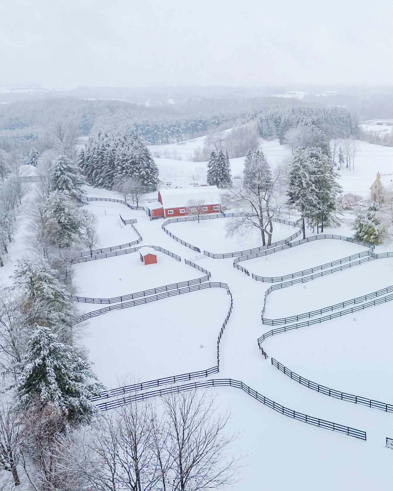 Winter beauty in King, ON📍

#carolynscime #carolynscimerealestate #equestrianproperty #kingtownshiprealestate #ontariorealestate