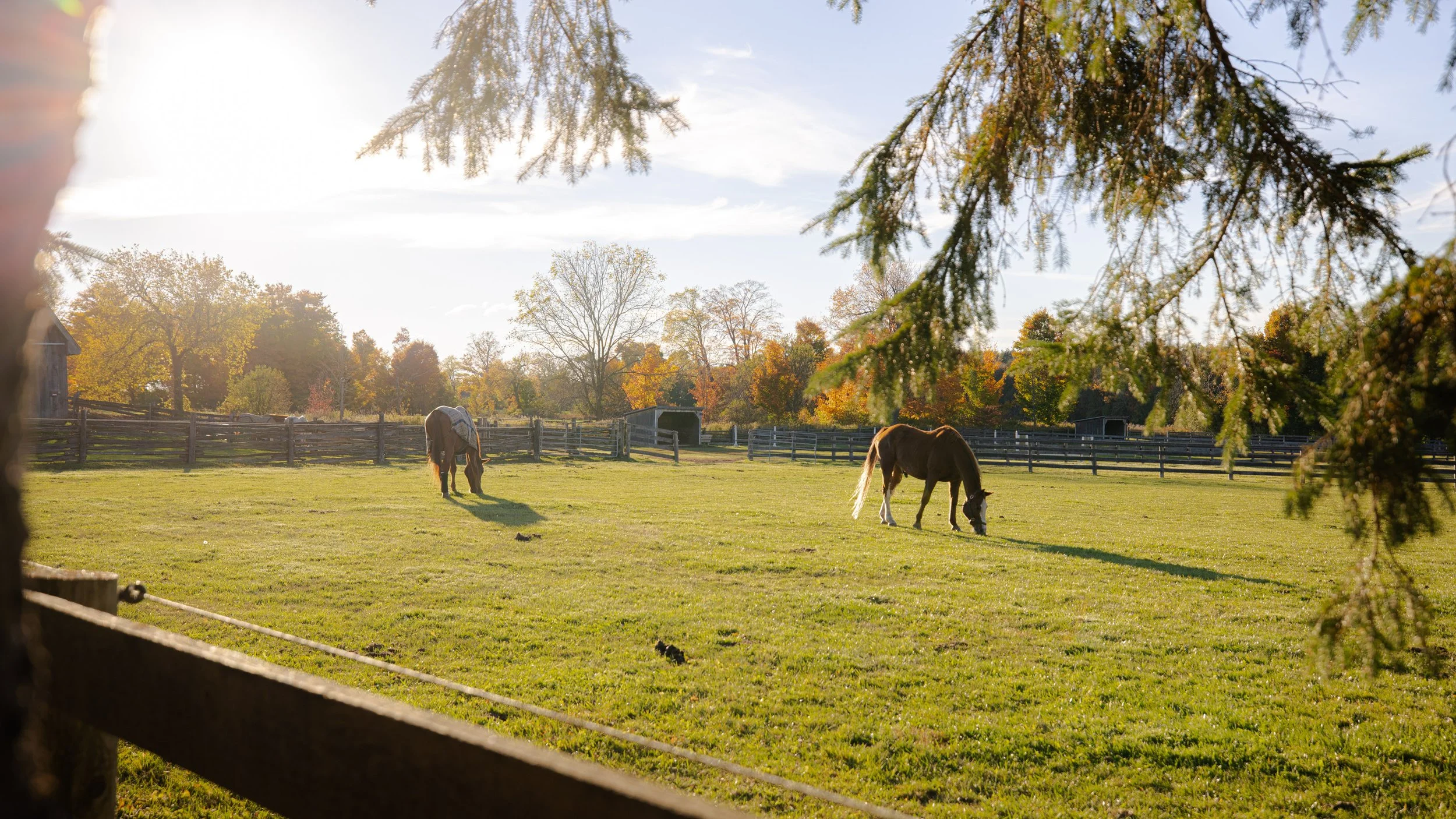 Stepping outside of the City in Search of a Different Way of Life
