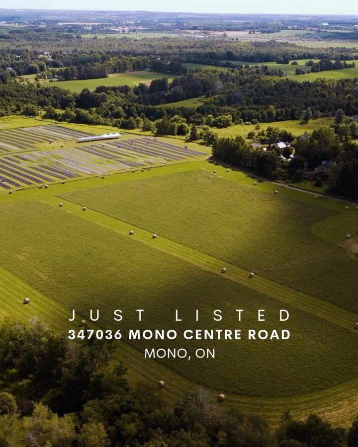 Just Listed✨ Avalon Lavender Farm: 347036 Mono Centre Road, Mono, ON📍

Welcome to Avalon Lavender Farm, set on 52 acres in the rolling rural landscape of Mono Township where your dream of country living meets a thriving business opportunity. Since 2