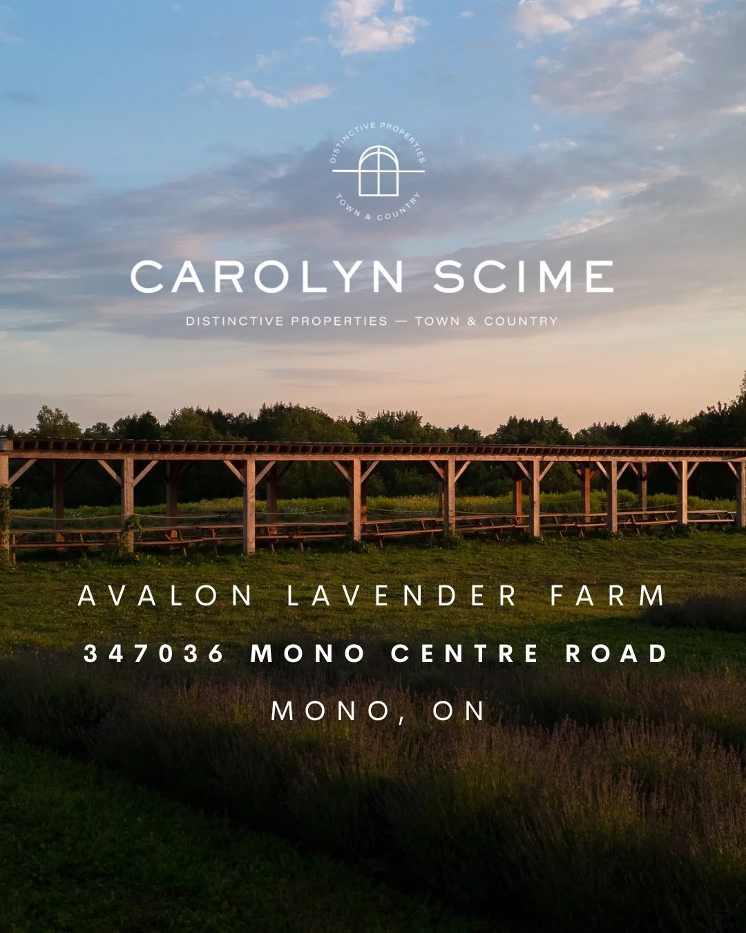 Offered for Sale | Avalon Lavender Farm🪻

Set on 52 acres in the rolling rural landscape of Mono Township where your dream of country living meets a thriving business opportunity. Since 2021, this established lavender operation has been turning a pr
