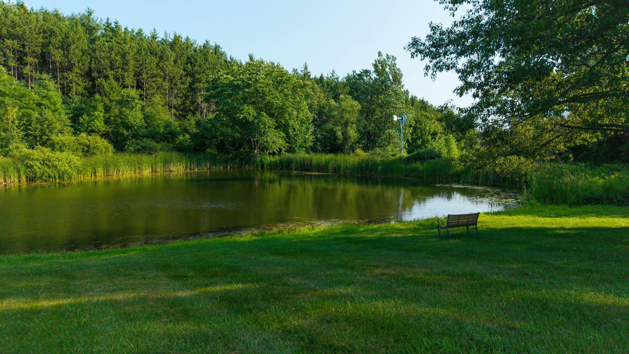 121- 4825 15th Sideroad - King - Modern Movement Creative Inc - PHOTOG- Mitch Hubble - July 22, 2026.jpg
