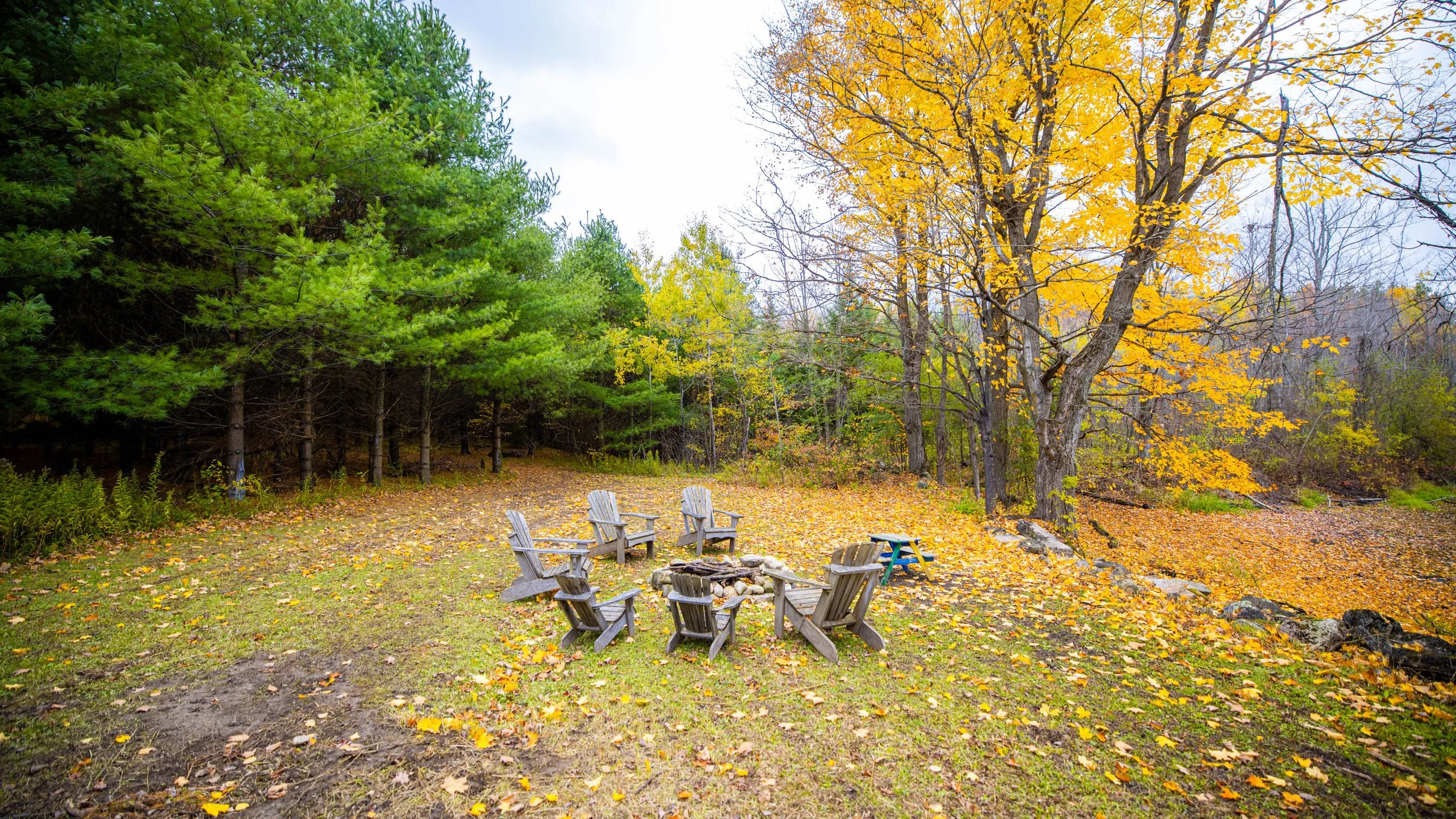 66- 5241 10th Line - Erin - PHOTO- Mitch Hubble -October 24, 2025_.jpg