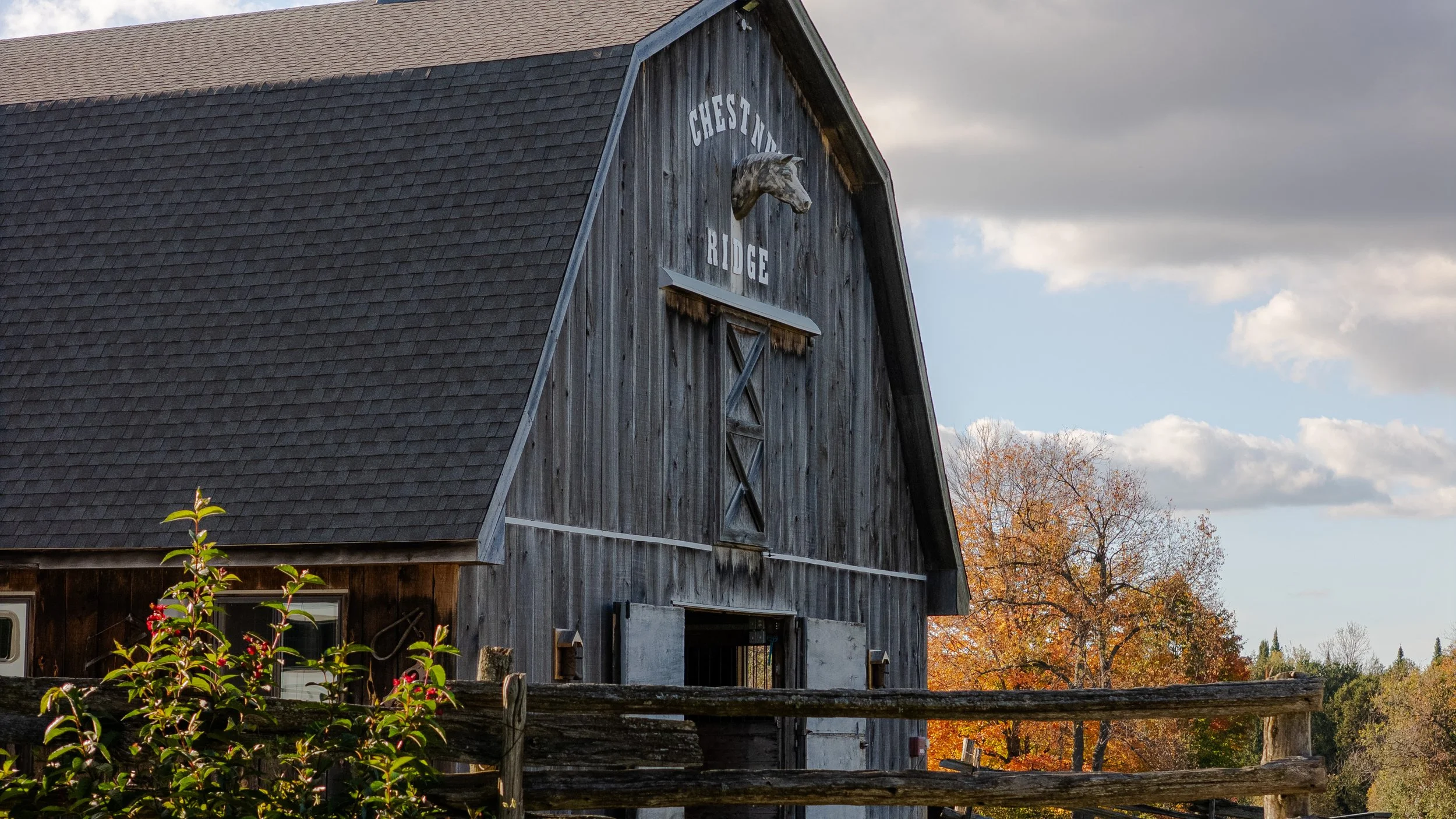 62- 5228 First Line - Erin - Modern Movement Creative - PHOTO- Mitch Hubble -October 15, 2025_.jpg