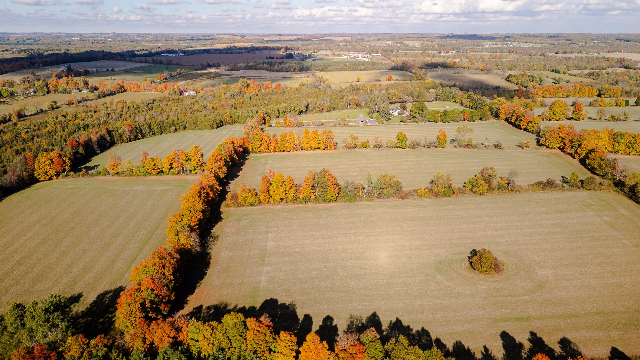 32- 5228 First Line - Erin - Modern Movement Creative - PHOTO- Mitch Hubble -October 15, 2025_.jpg