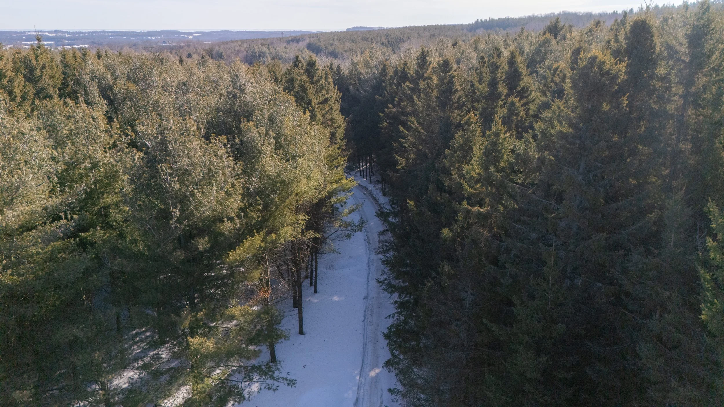 23- 675528 Hurontario ST - Mono - Modern Movement Creative Inc - PHOTOG- Mitch Hubble - March 10, 2025.jpg